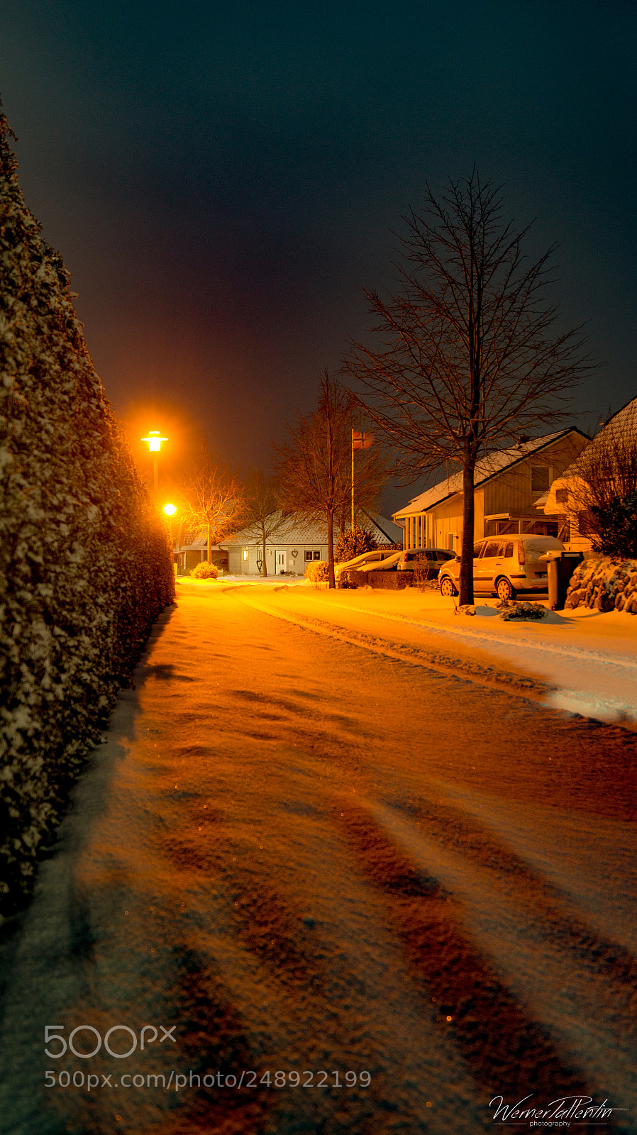 Sony SLT-A58 sample photo. Untitled photography