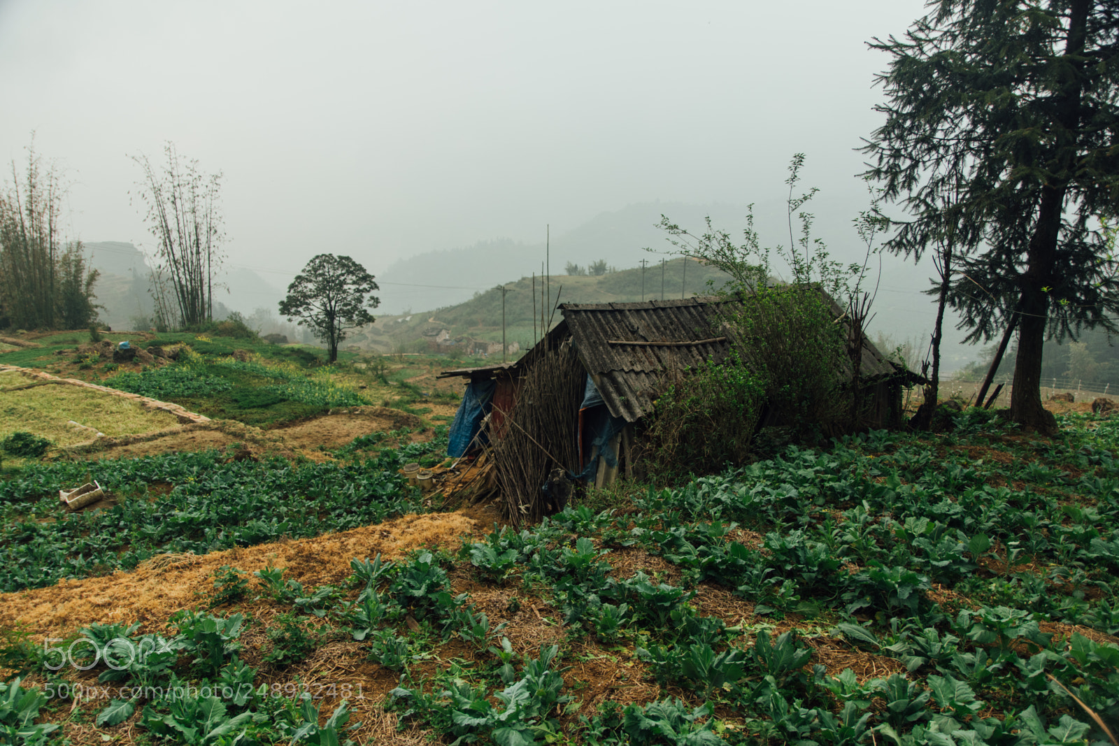 Nikon D7500 sample photo. Sa pa, northern vietnam photography