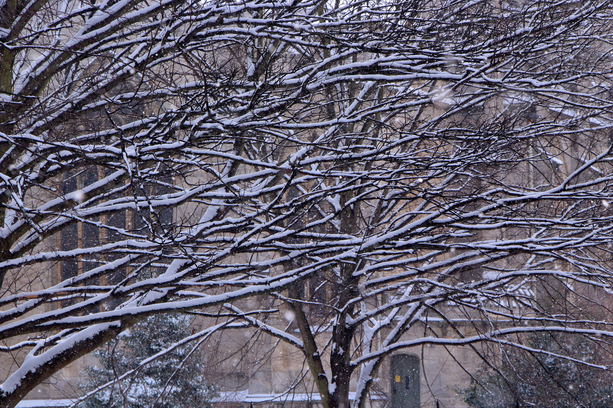 Canon EOS 100D (EOS Rebel SL1 / EOS Kiss X7) sample photo. Beast from the east photography