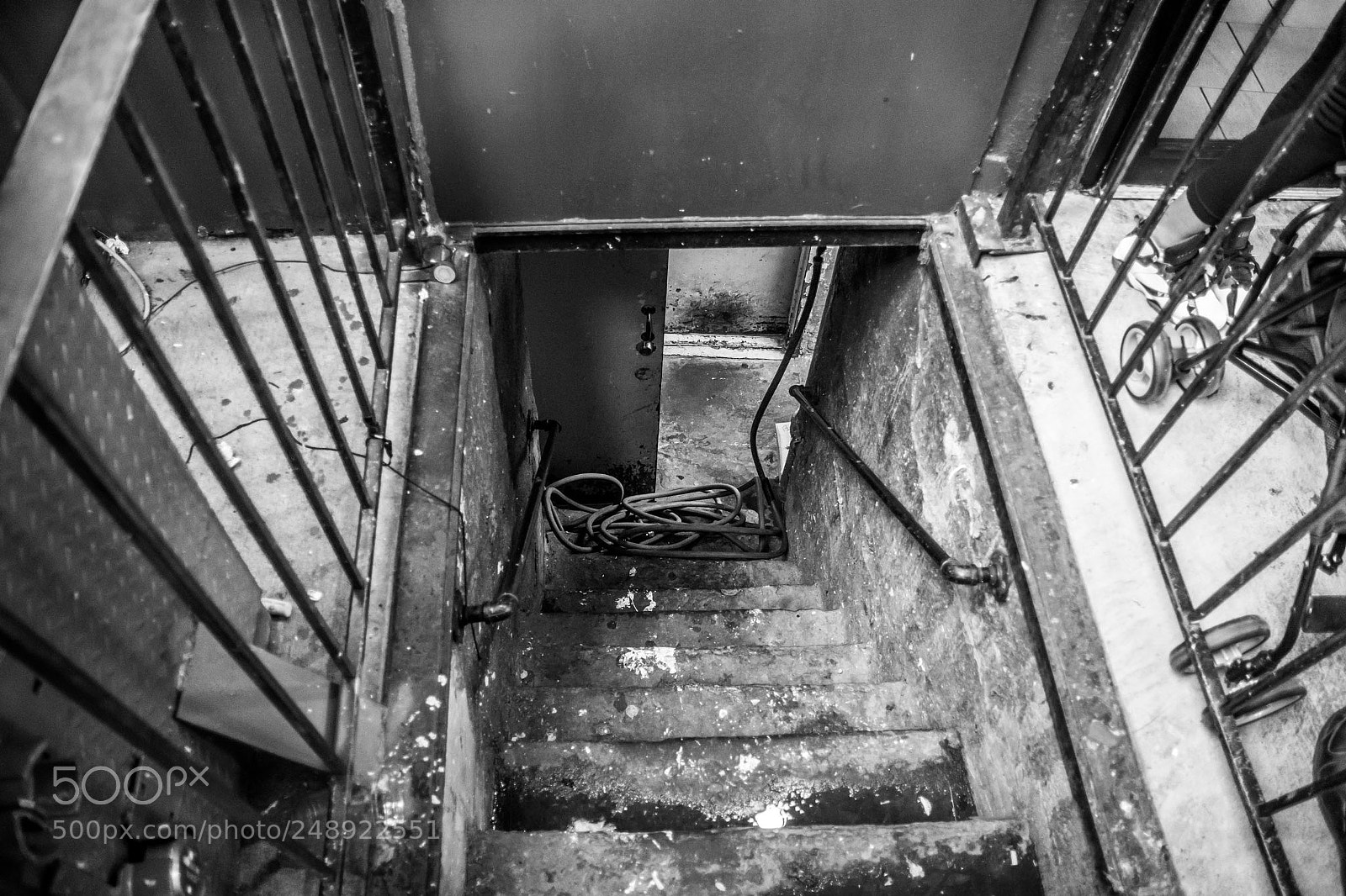 Nikon D500 sample photo. Watch your step photography