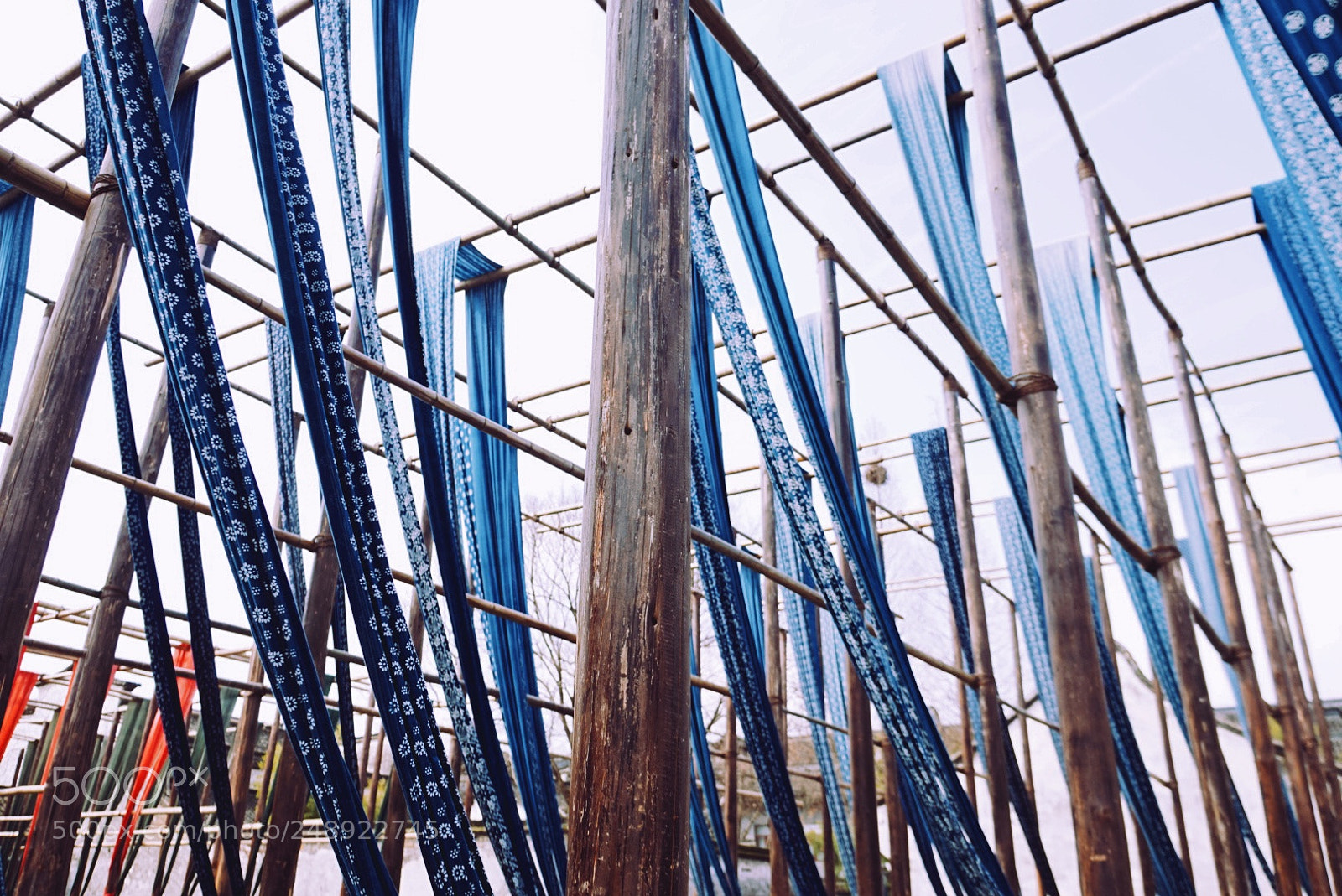 Sony Alpha a5000 (ILCE 5000) sample photo. Indigo color photography