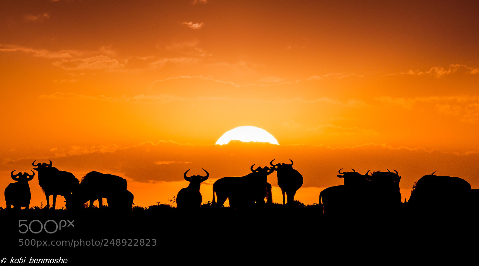 Nikon D800 sample photo. Tanzania sunset photography