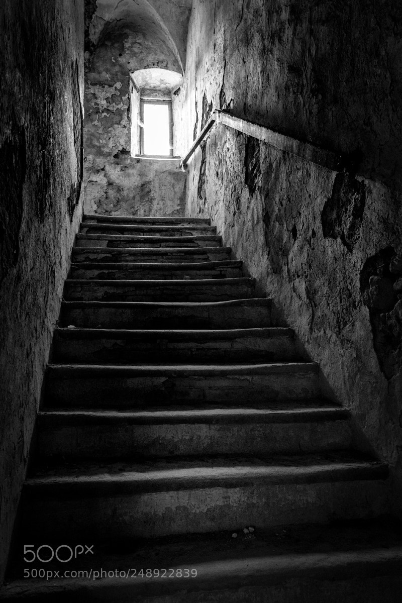 Canon EOS 100D (EOS Rebel SL1 / EOS Kiss X7) sample photo. Ricordi photography