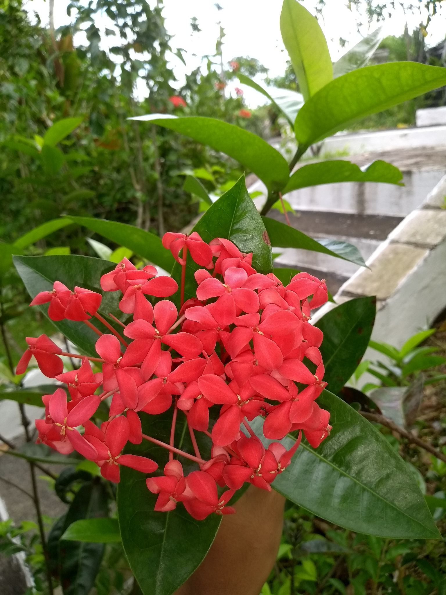 Motorola Moto G (5S) sample photo