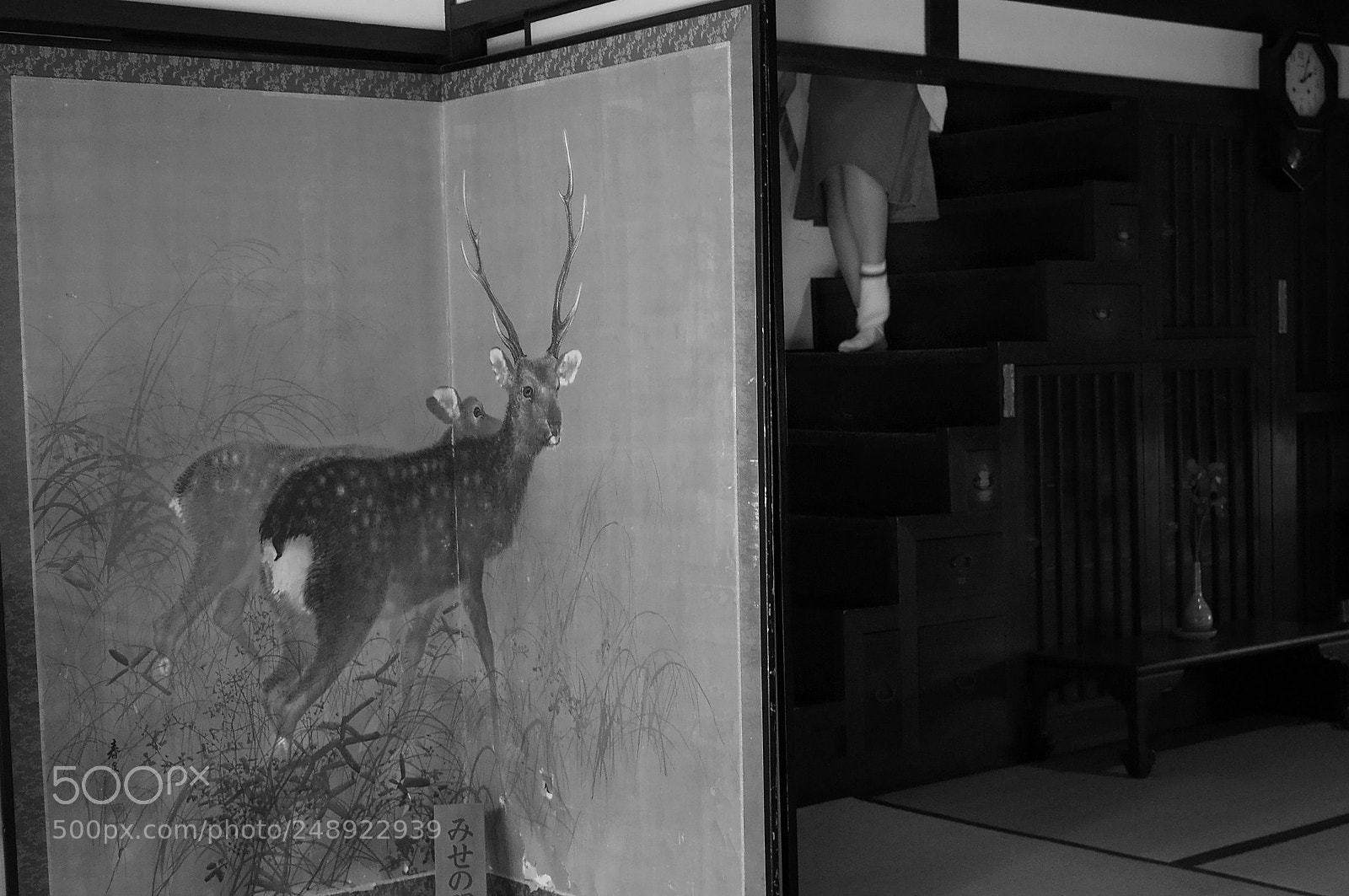 Sony Alpha NEX-6 sample photo. In nara photography