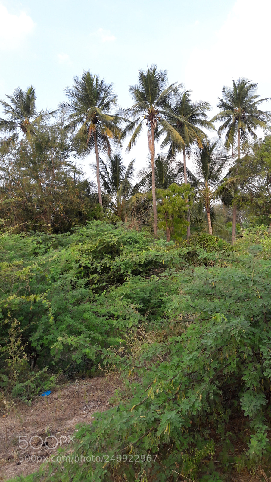 Samsung Galaxy J7 sample photo. Untitled photography