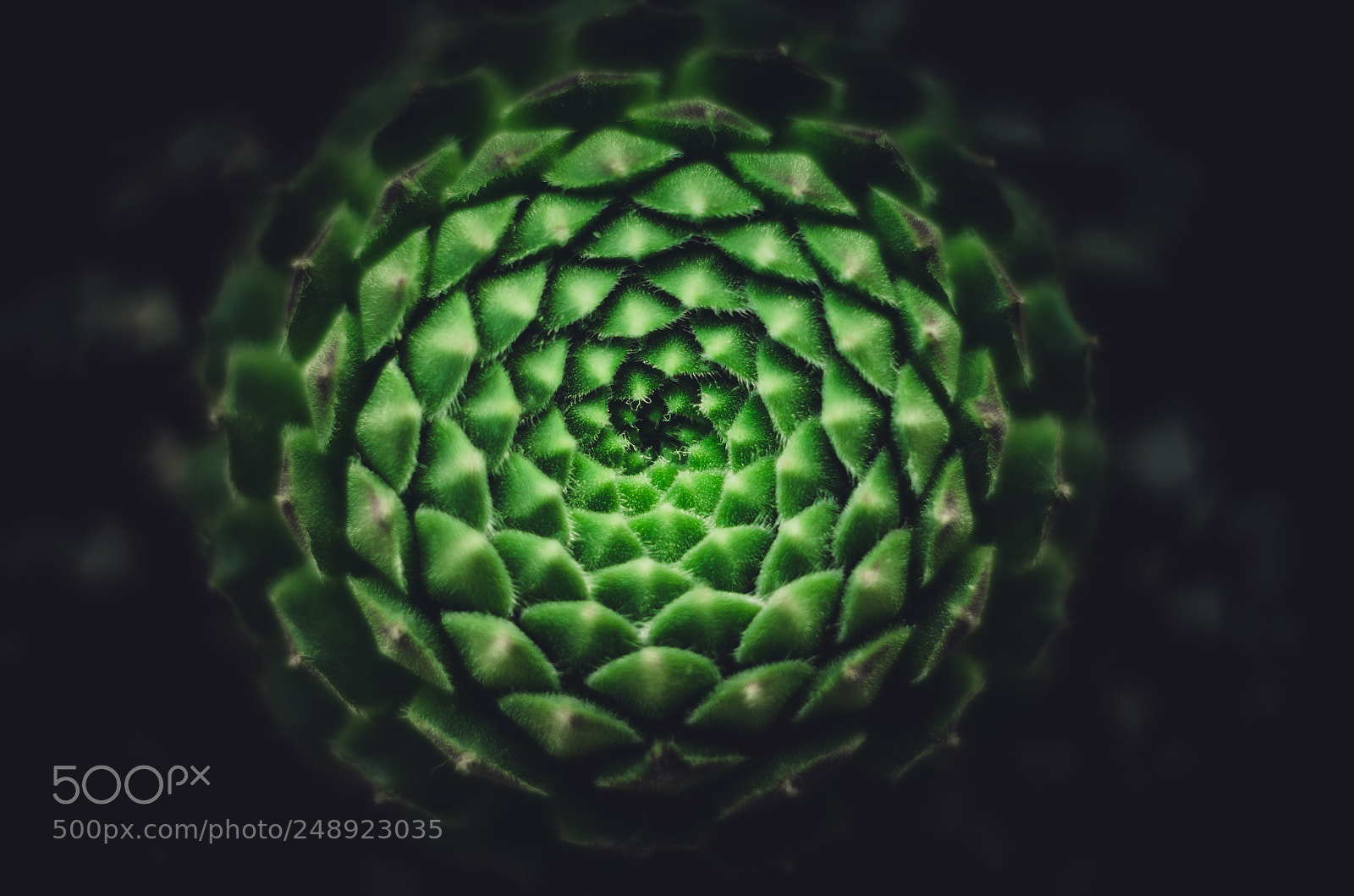Nikon D7000 sample photo. Shape photography
