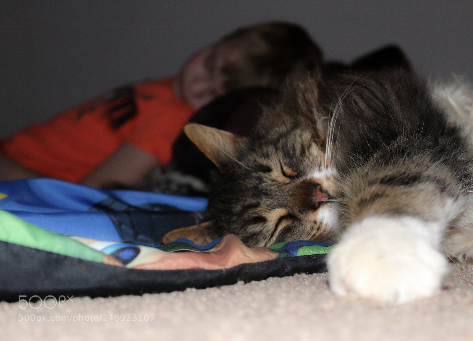 Canon EOS 1300D (EOS Rebel T6 / EOS Kiss X80) sample photo. Sleepy time photography
