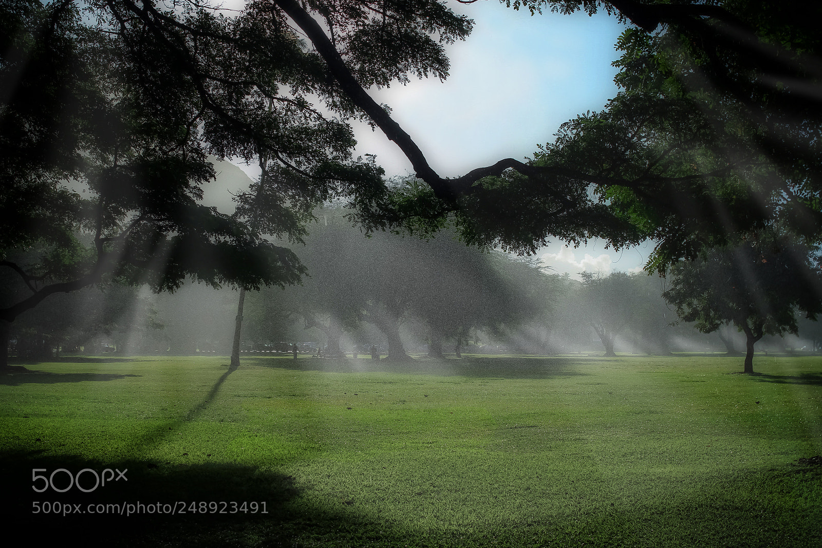 Canon EOS 7D sample photo. Squall photography