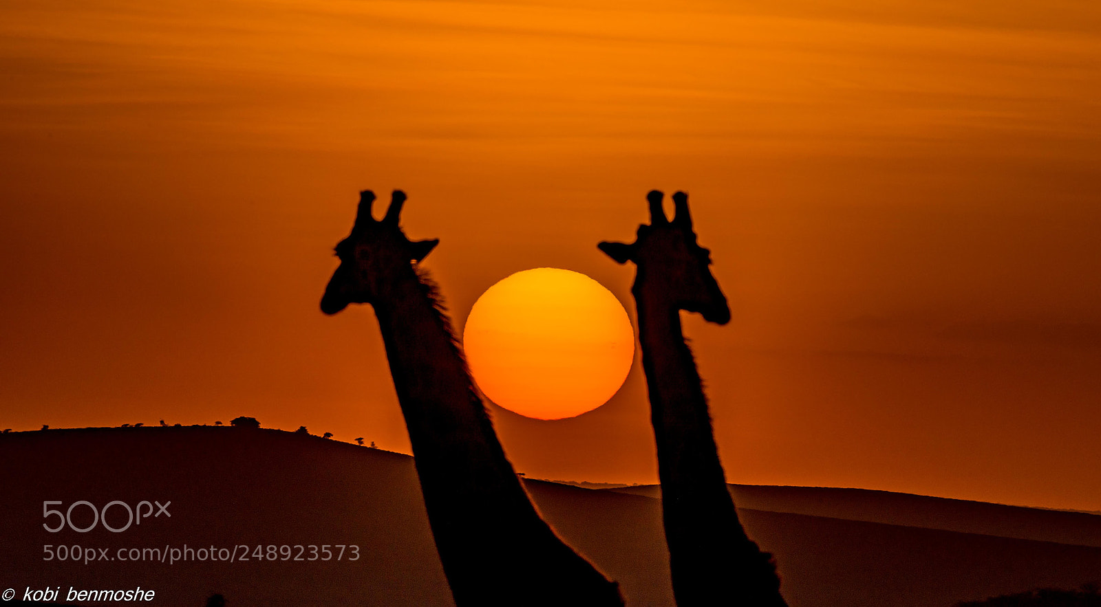 Nikon D800 sample photo. Tanzania sunset 2 photography