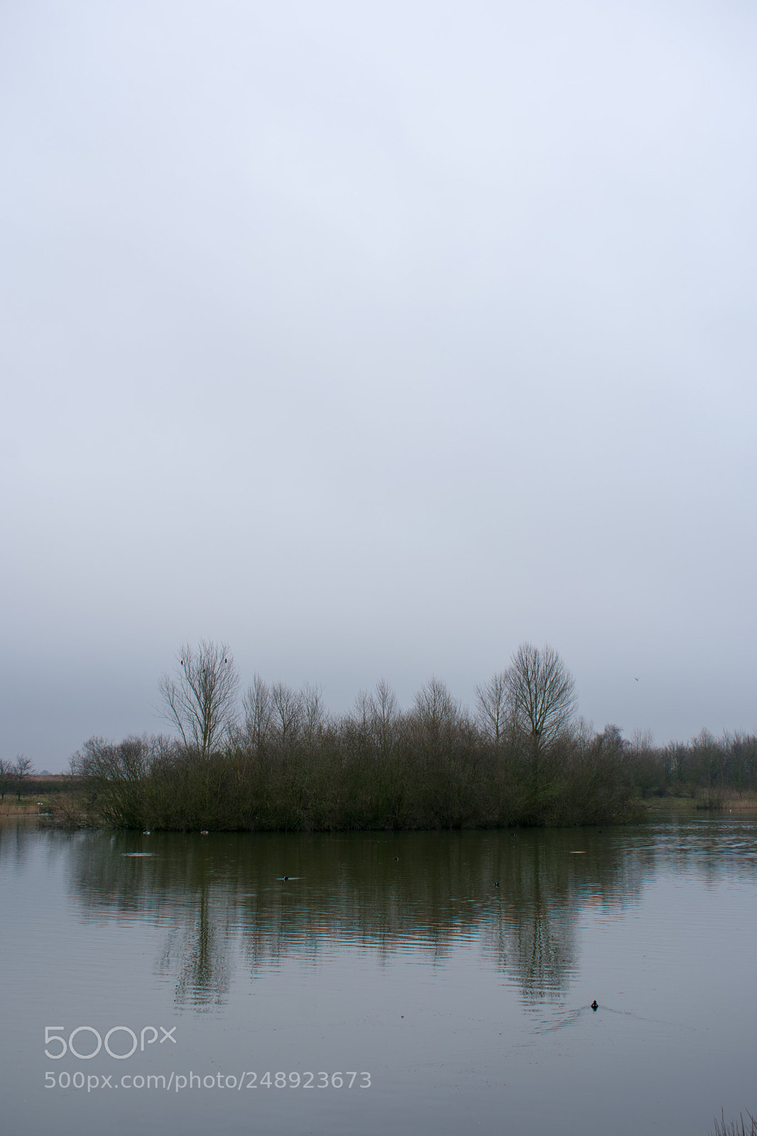 Nikon D3400 sample photo. Foggy island photography
