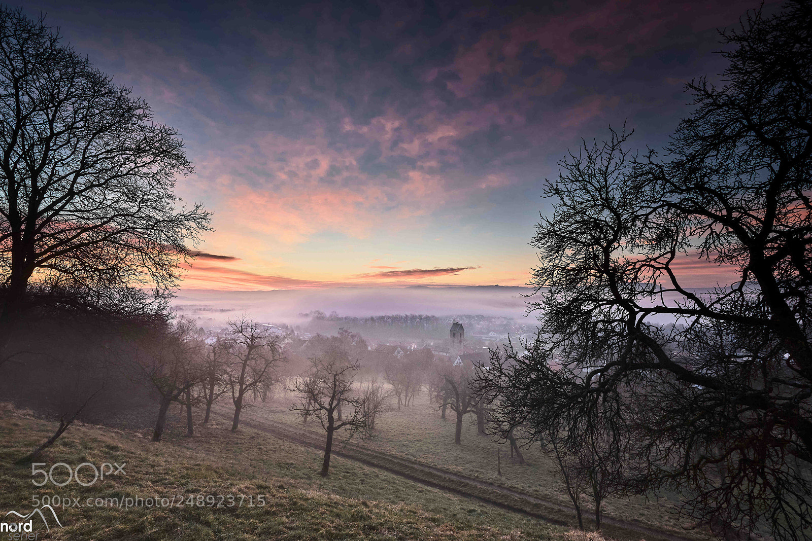 Sony ILCA-77M2 sample photo. Ein nebelmorgen in neckartailfingen photography