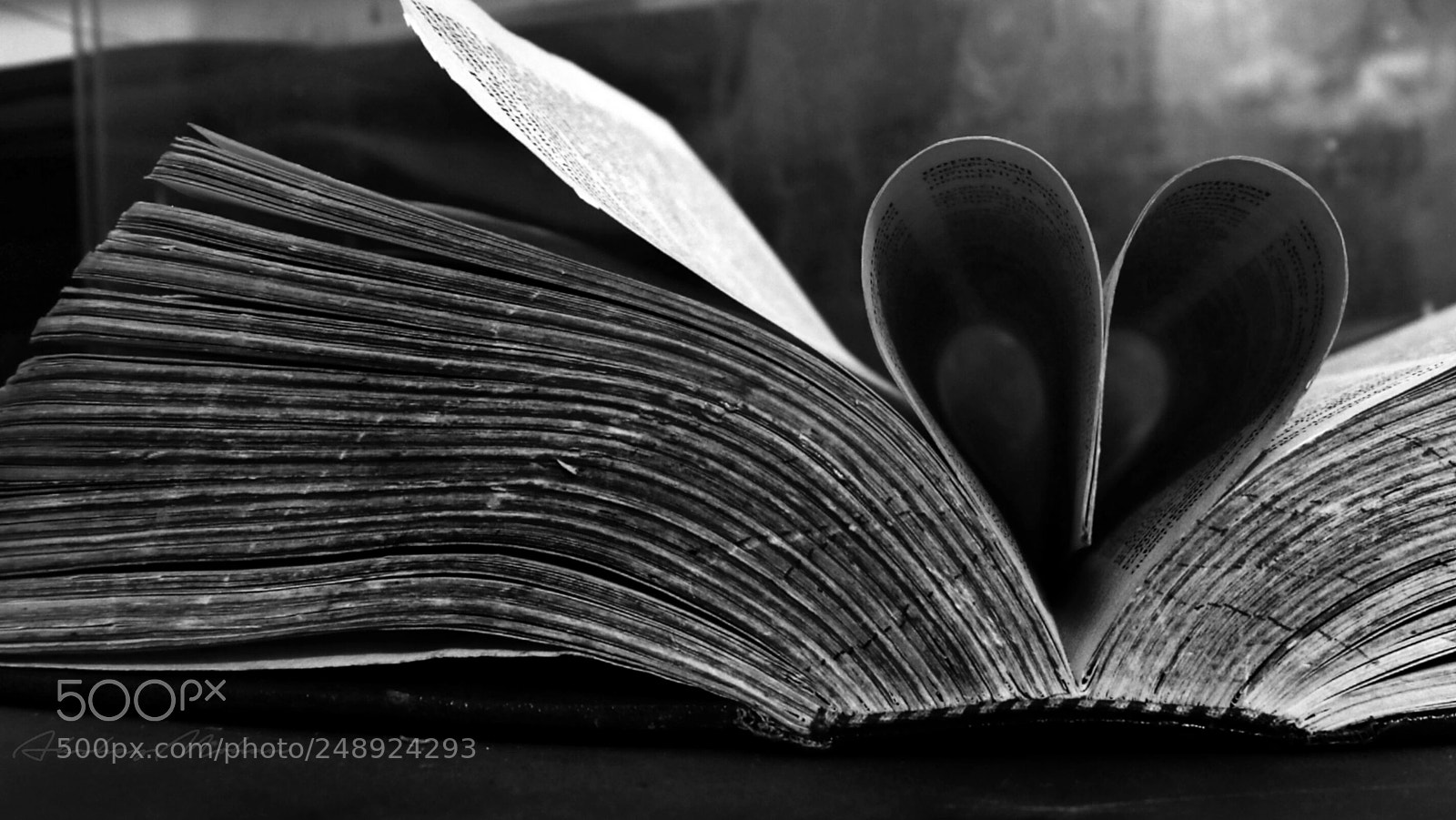 Canon EOS 80D sample photo. Untitled photography