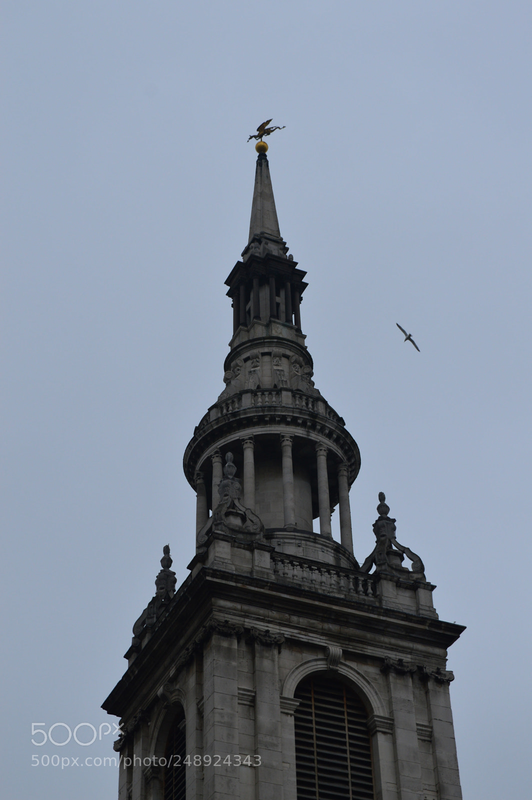 Nikon D3200 sample photo. Untitled photography