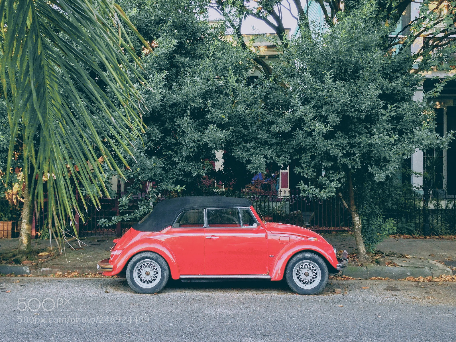 Apple iPhone 5 sample photo. The beetle photography
