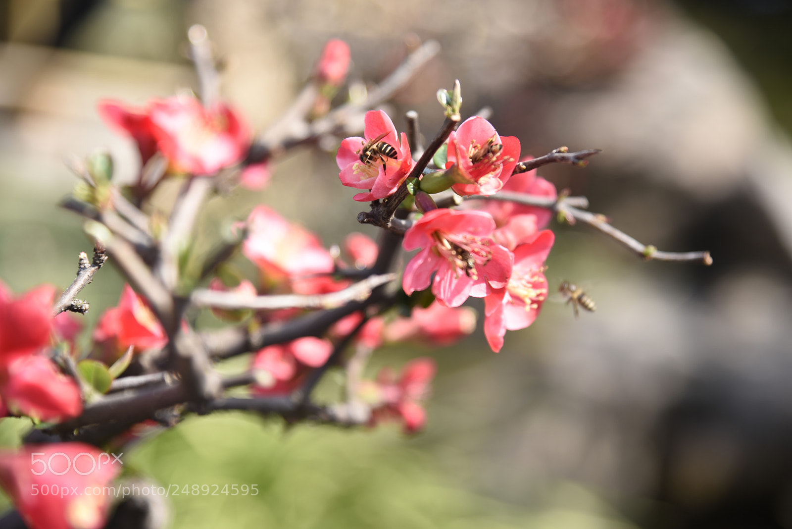 Nikon AF-S Nikkor 24-120mm F4G ED VR sample photo. Dsc photography