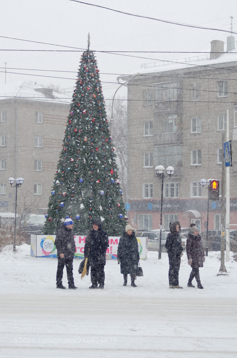 Nikon D7000 sample photo. Снегопад photography