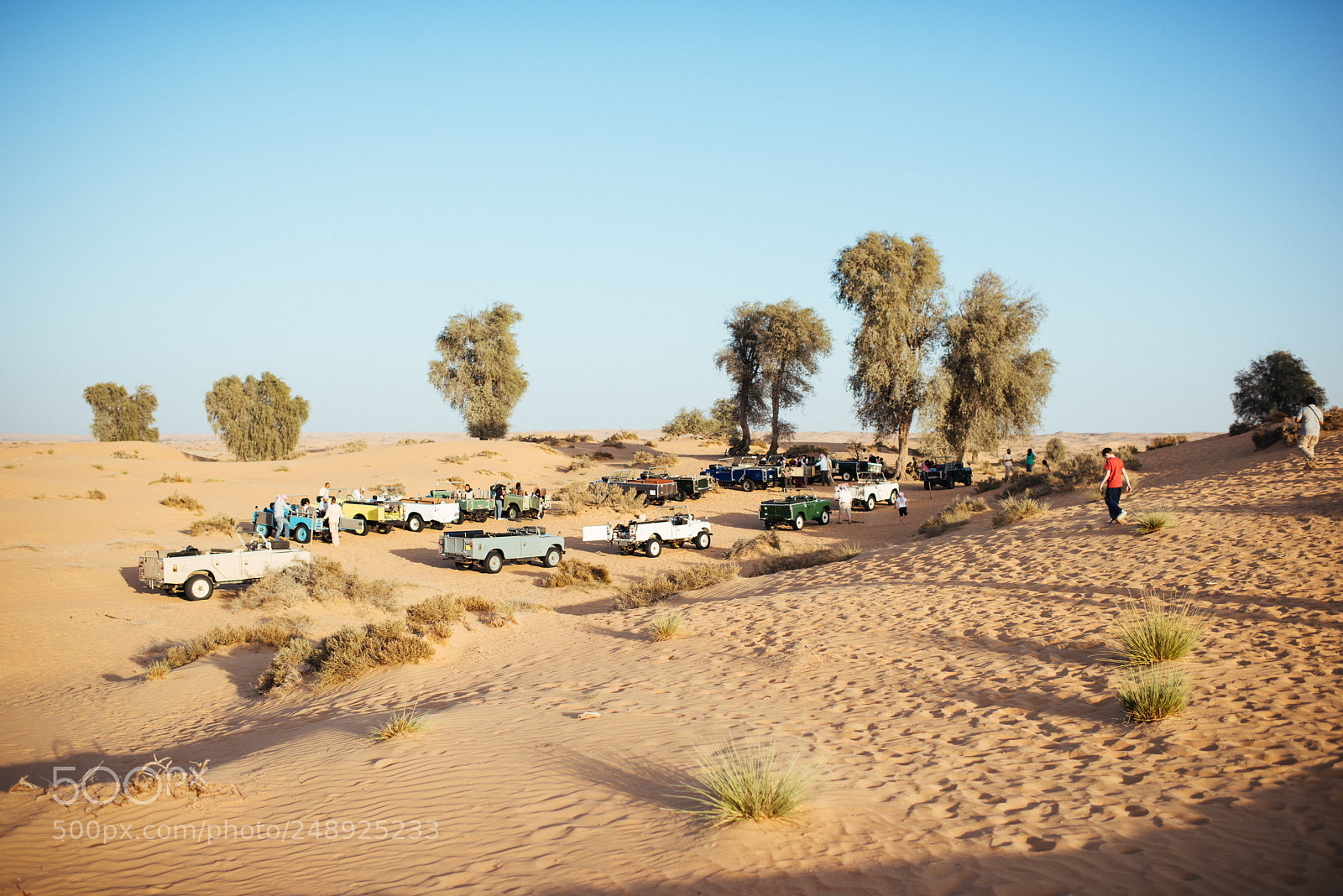 Nikon D810 sample photo. Desert i photography