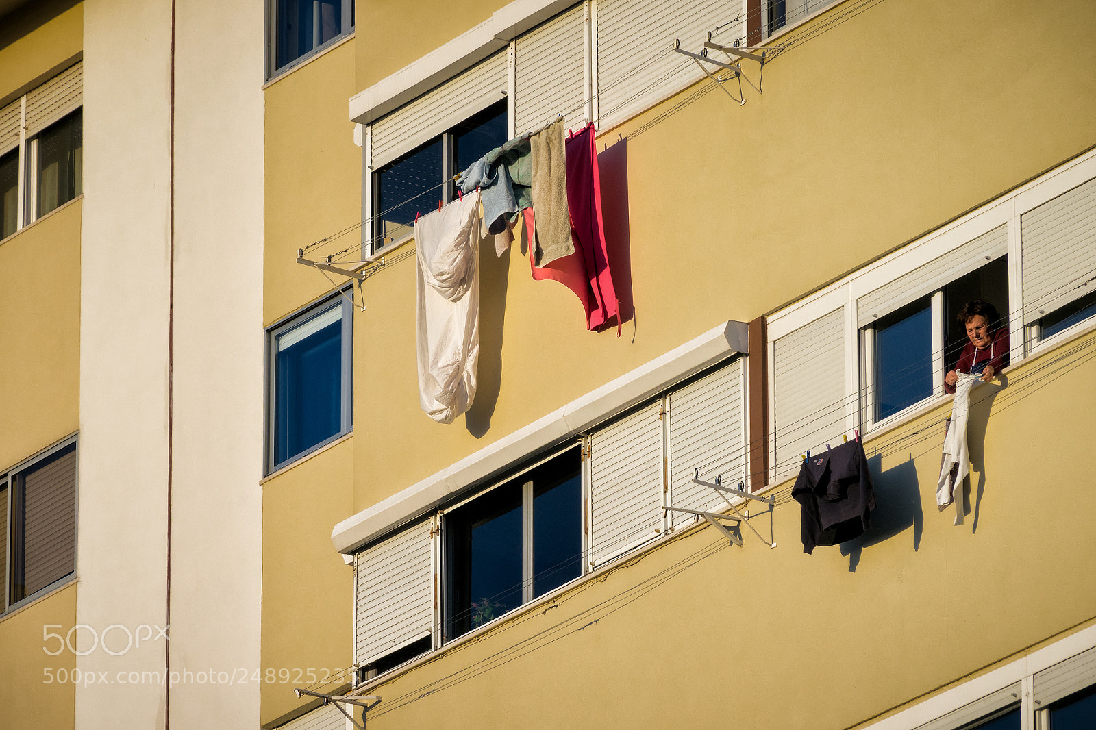 Sony Cyber-shot DSC-RX10 III sample photo. 'hanging out' photography