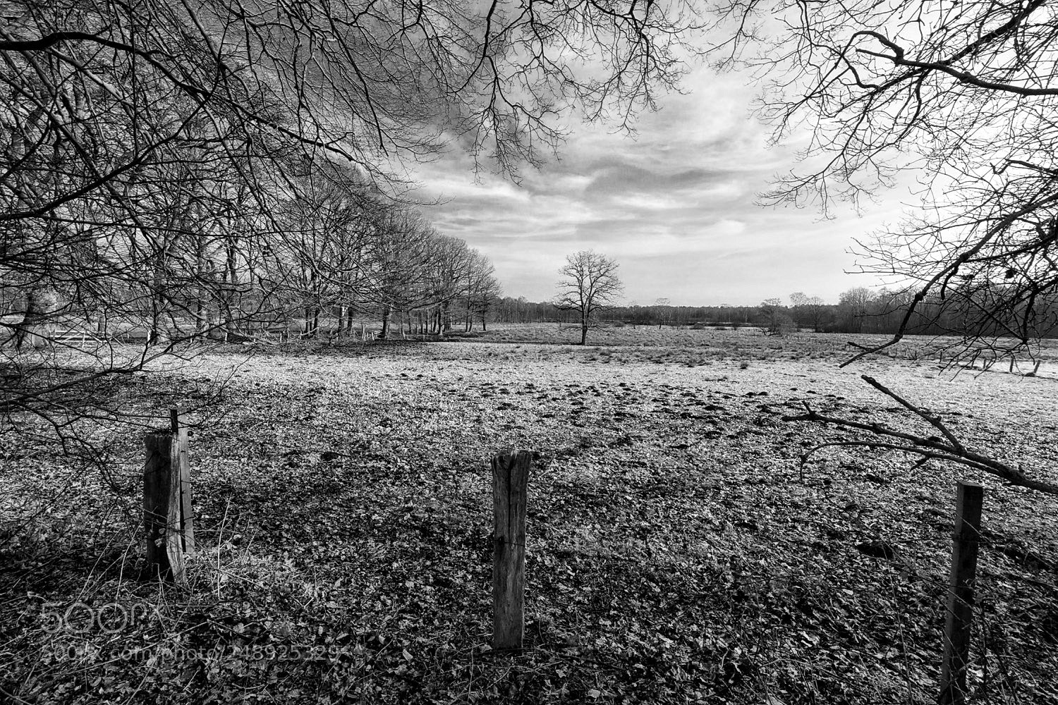 Sony a6000 sample photo. Sunday walk photography