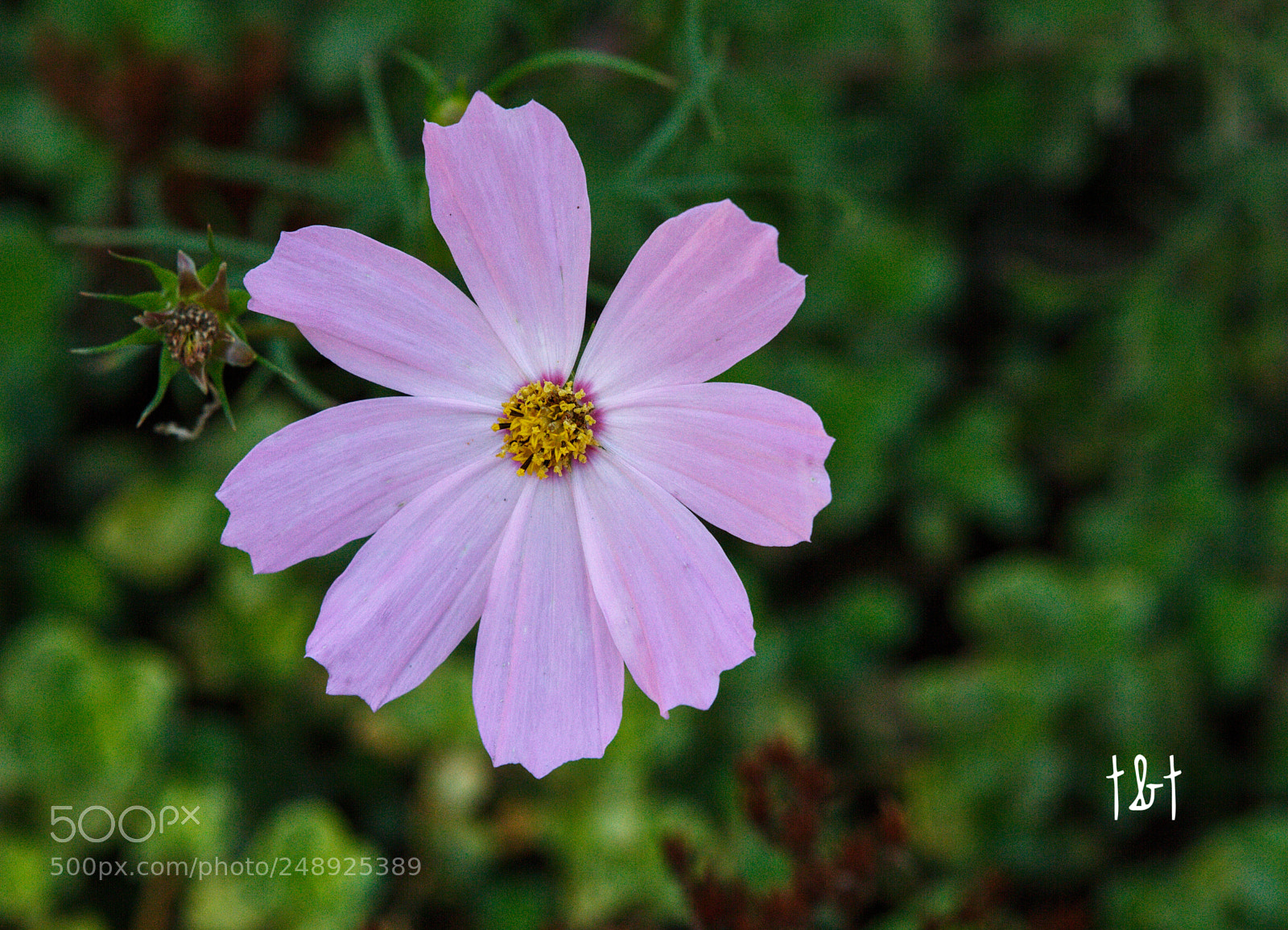 Canon EOS 7D sample photo. Untitled photography