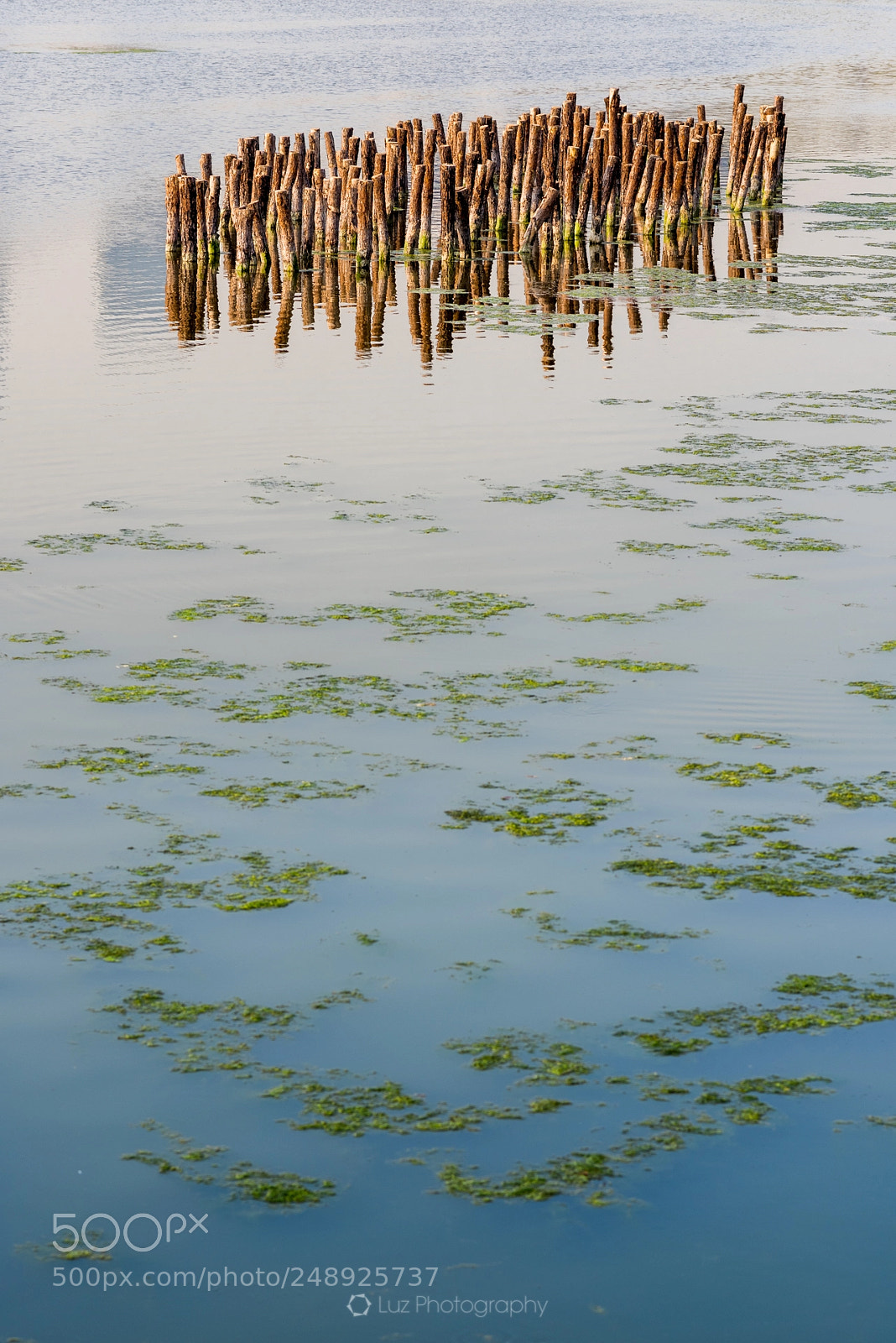 Nikon D810 sample photo. In the distance photography
