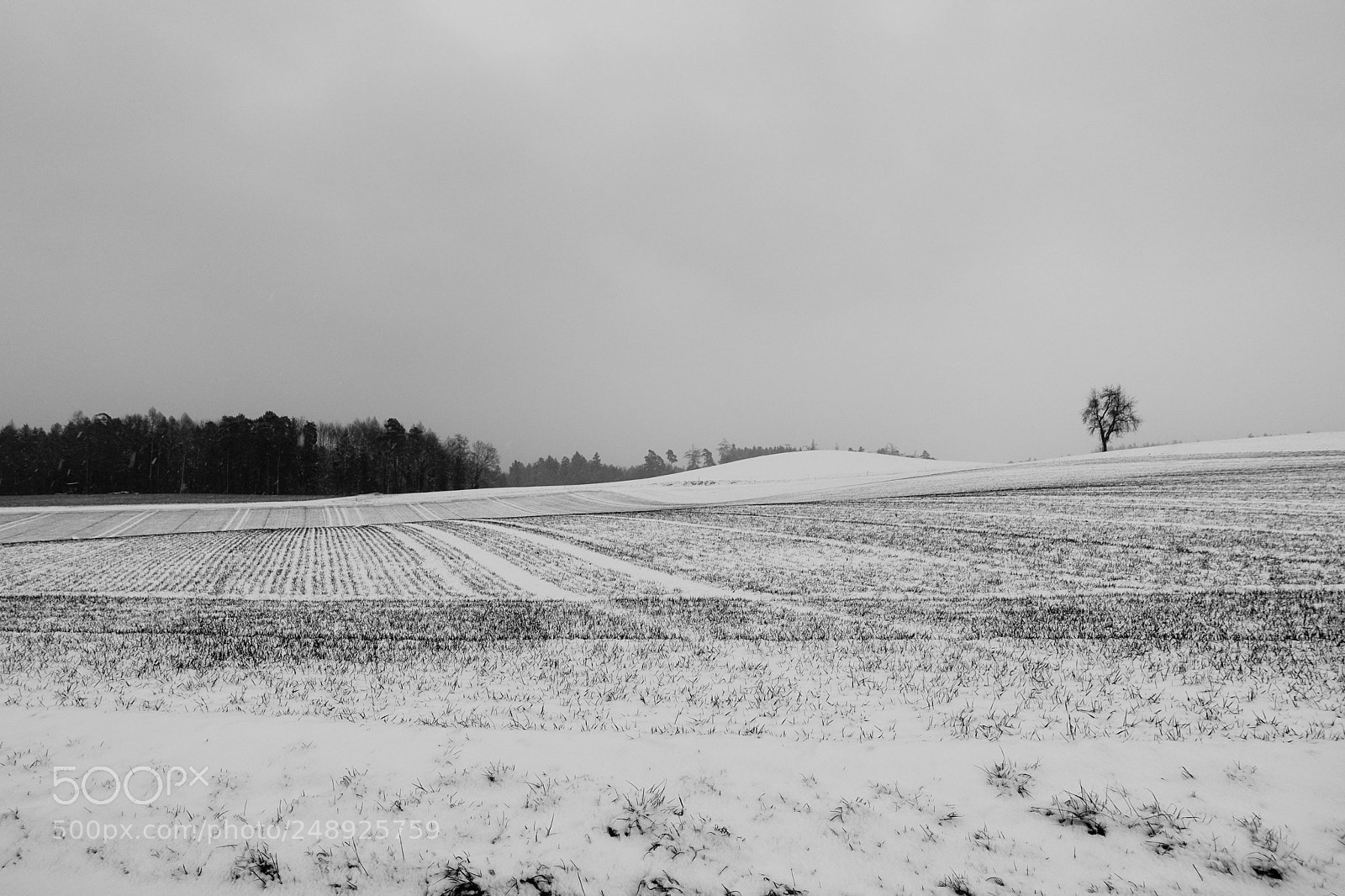 Sony DSC-RX100M5 sample photo. Winter photography