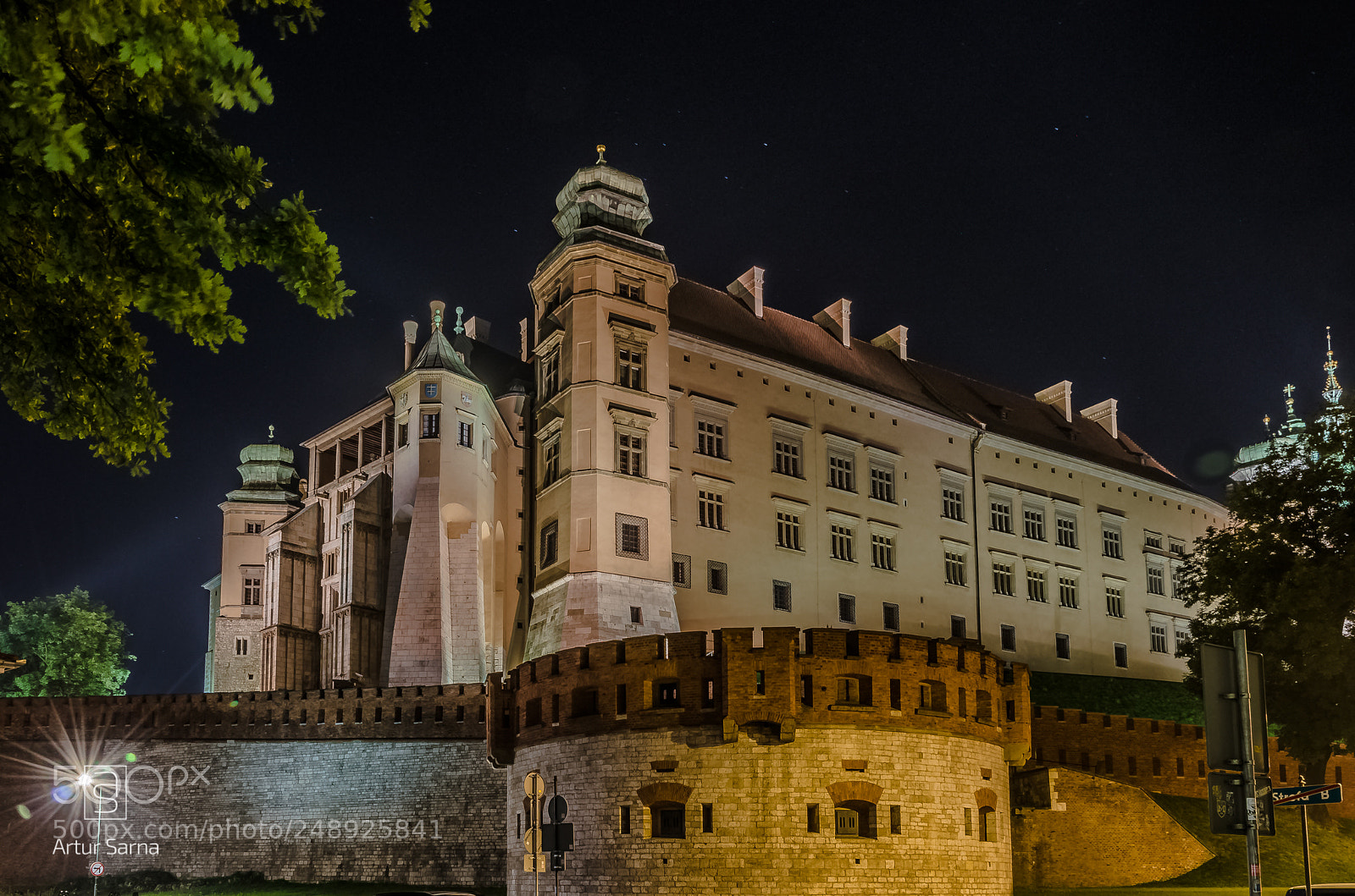 Nikon D5100 sample photo. Wawel hill from the photography