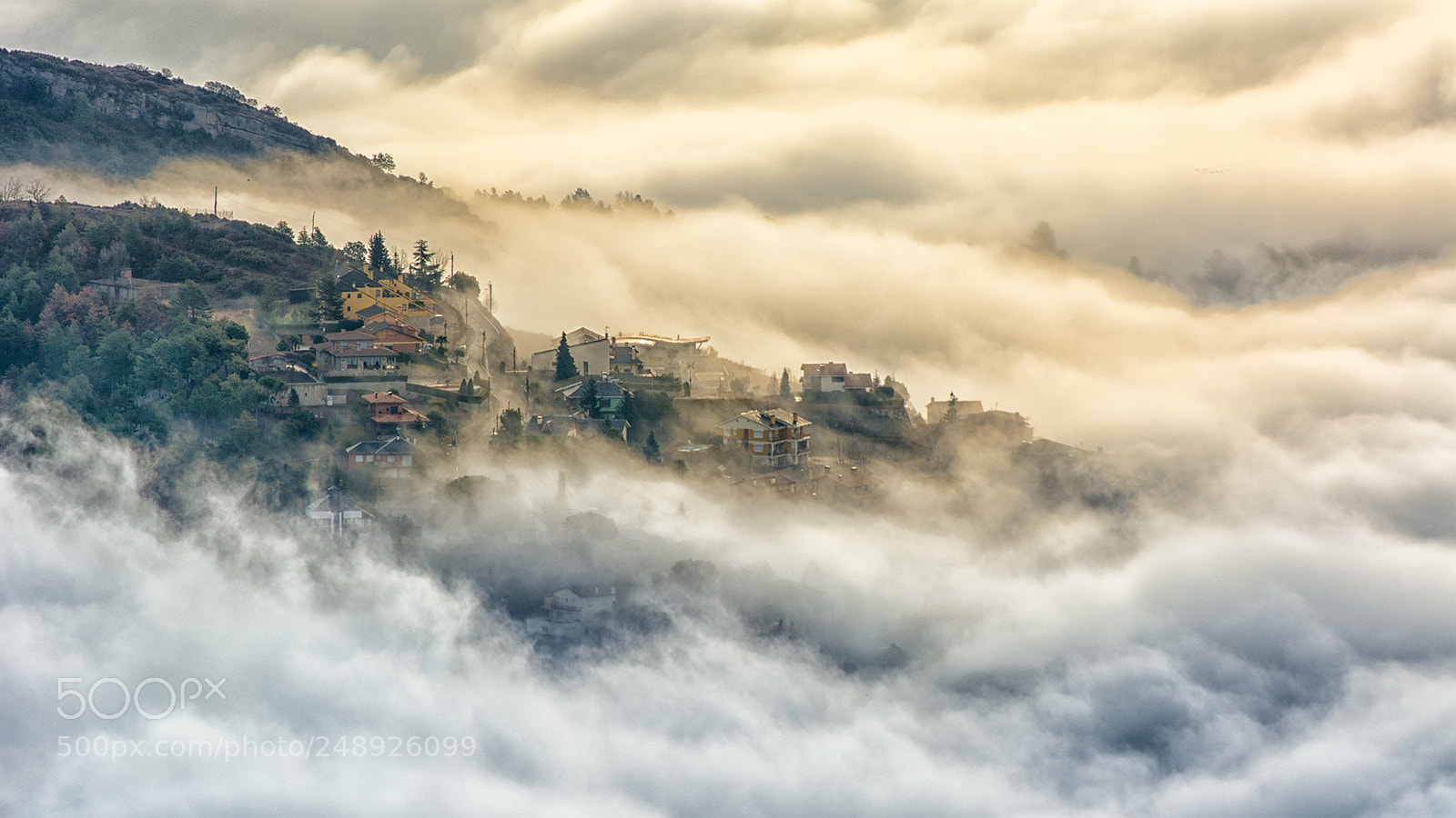 Nikon D7100 sample photo. The fog photography