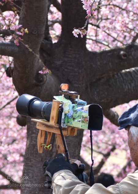 Nikon D7200 sample photo. Attach to a tripod. photography
