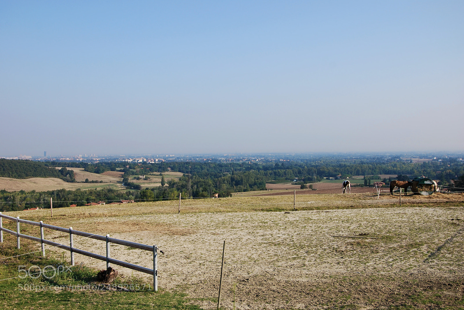 Nikon D60 sample photo. Horse manure photography