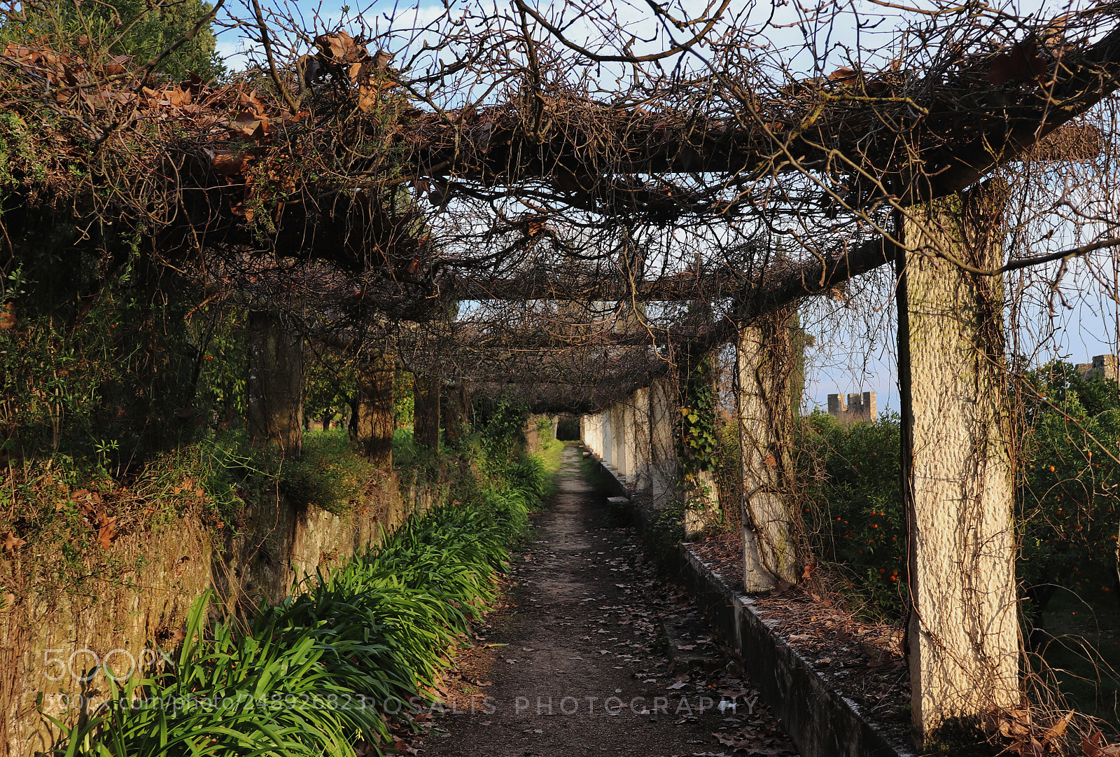 Canon EOS 800D (EOS Rebel T7i / EOS Kiss X9i) sample photo. Convento - tomar photography