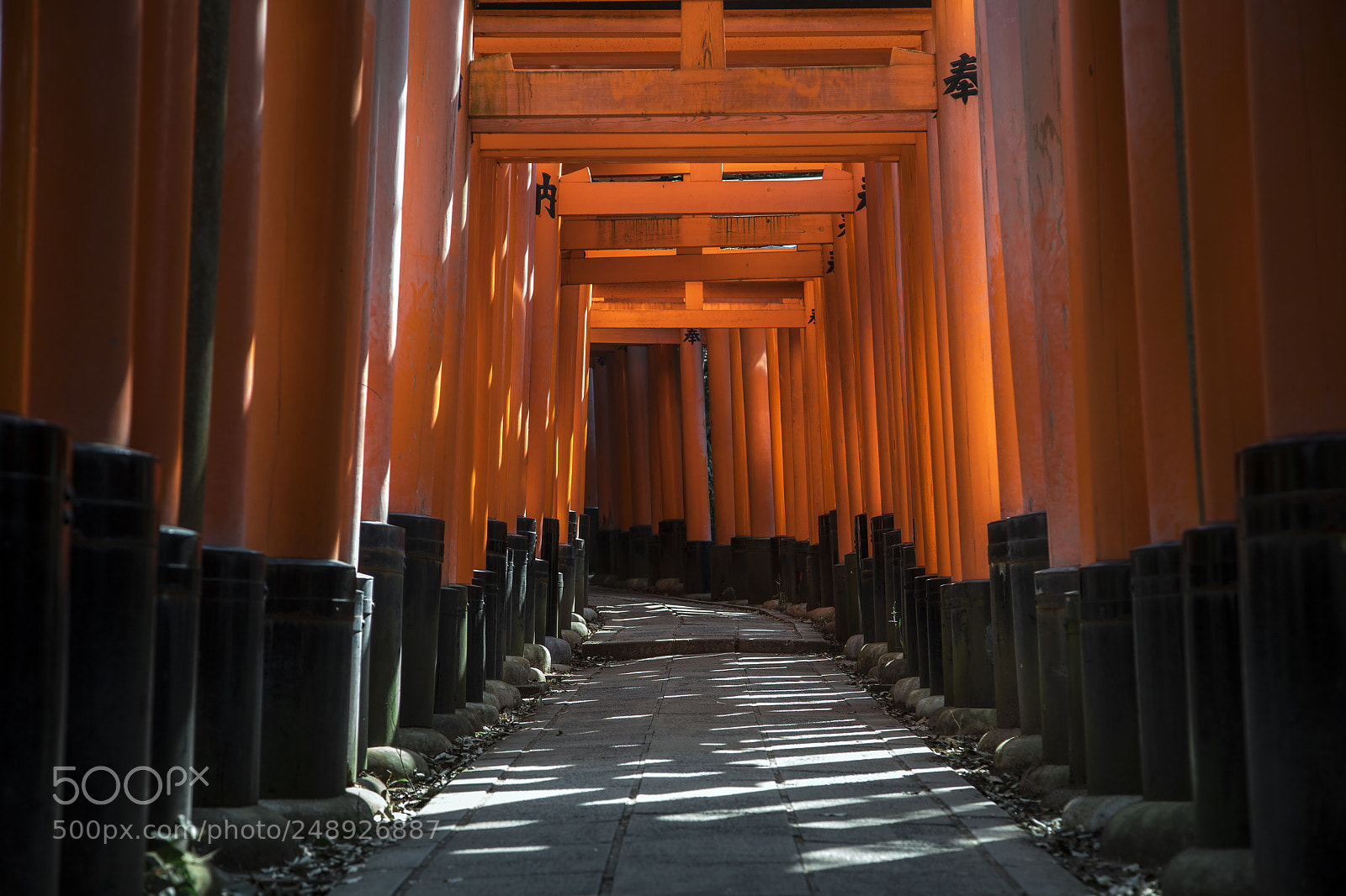 Canon EOS 6D Mark II sample photo. 千本鸟居 photography