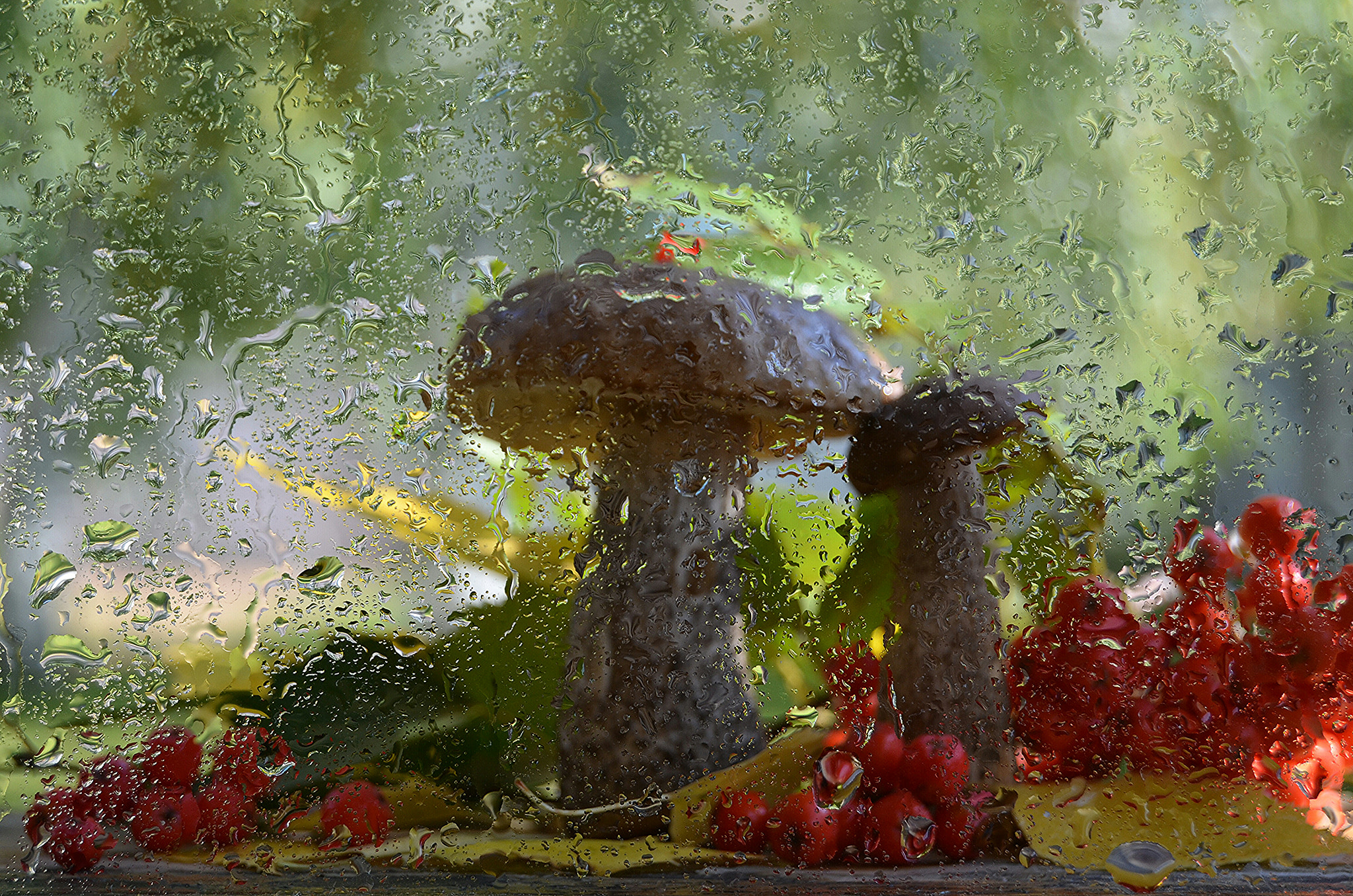 Nikon D5100 sample photo. Rain photography