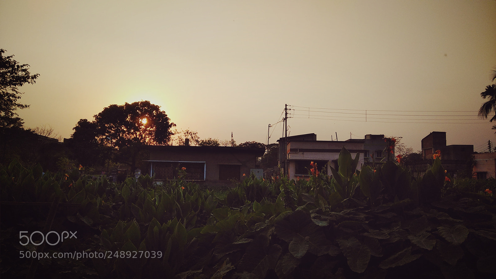 Xiaomi Redmi Note 4 sample photo. Untitled photography