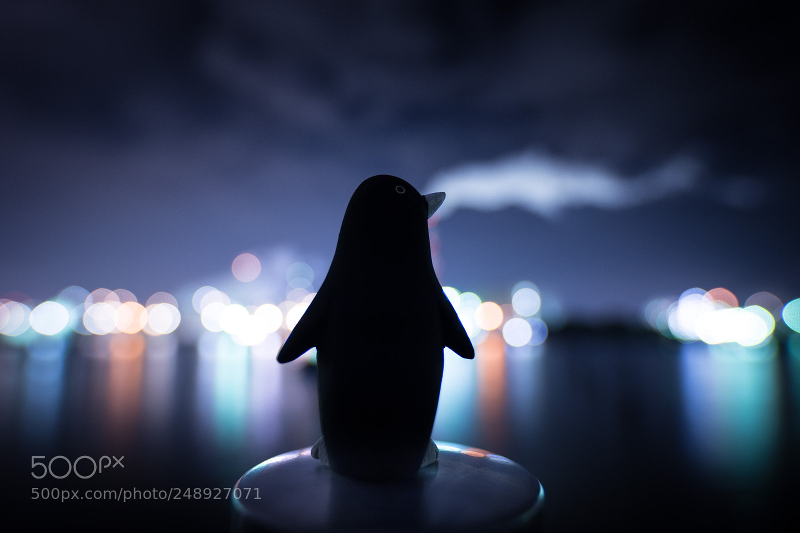 Nikon D7200 sample photo. Penguin photography