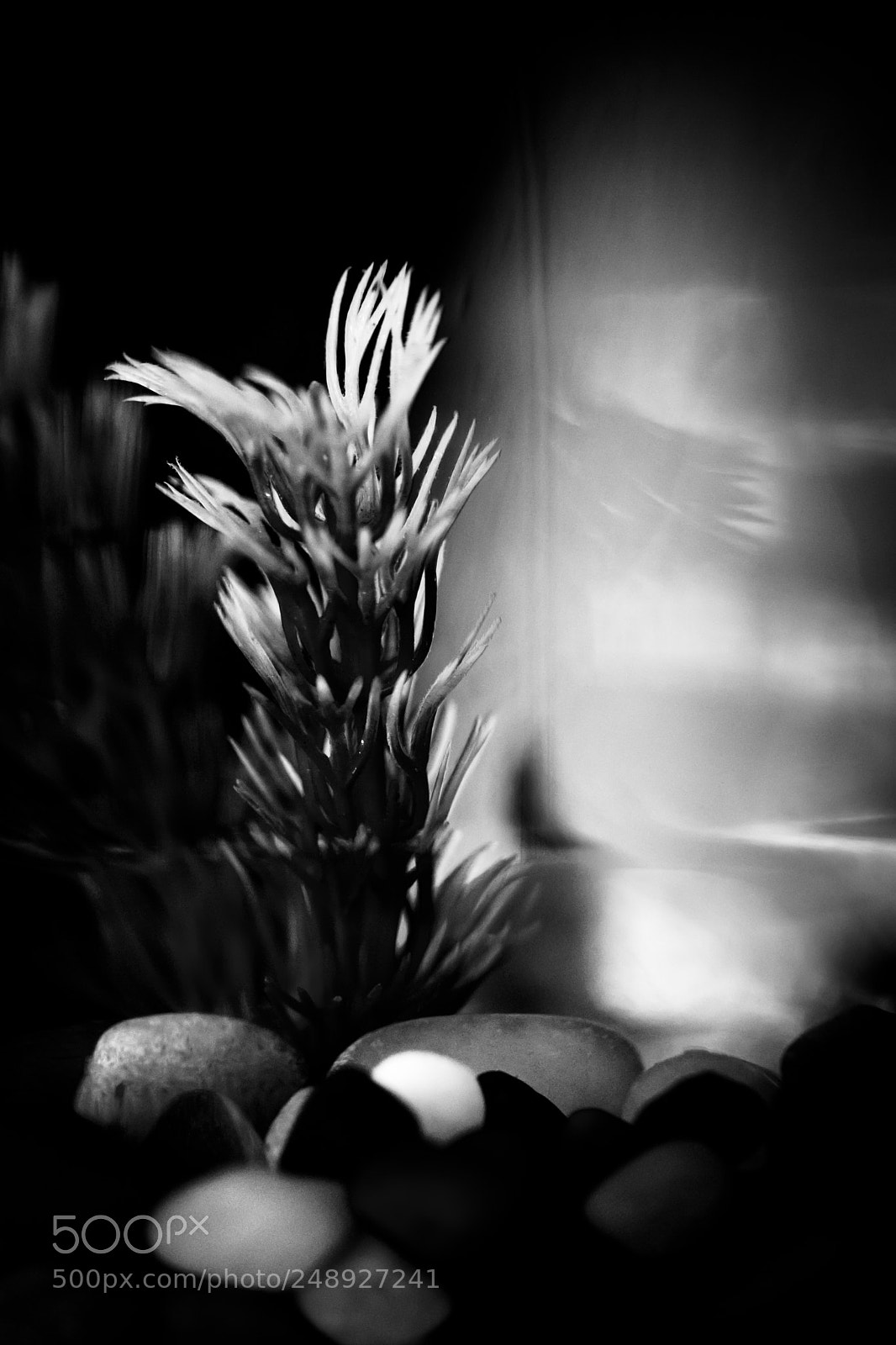 Nikon D7200 sample photo. Abstract !!! photography