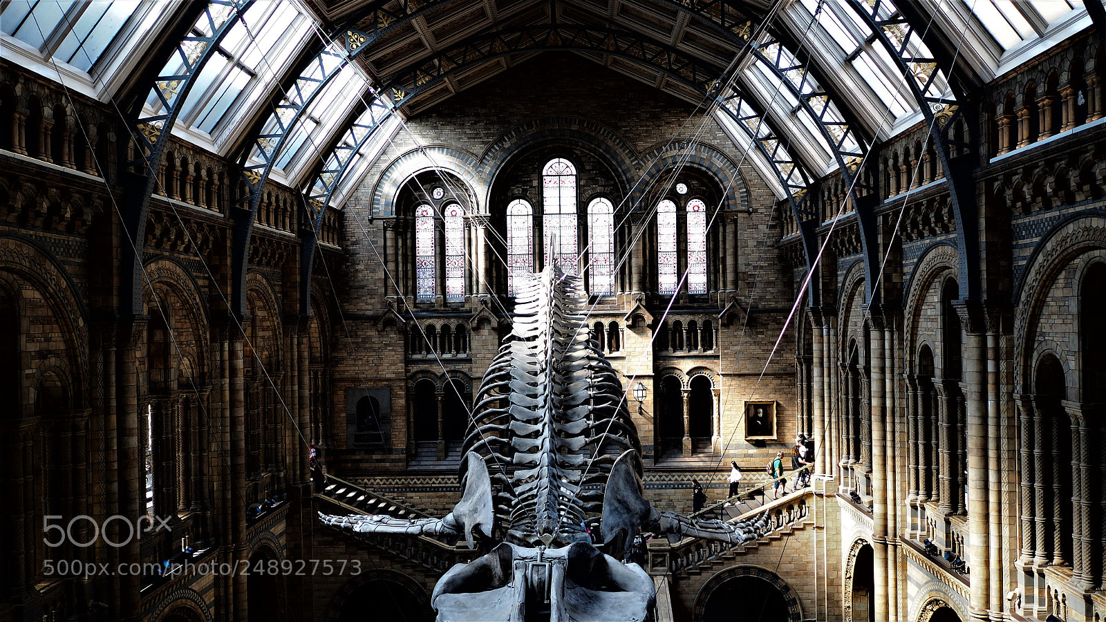 Olympus OM-D E-M10 sample photo. Natural history museum, london photography
