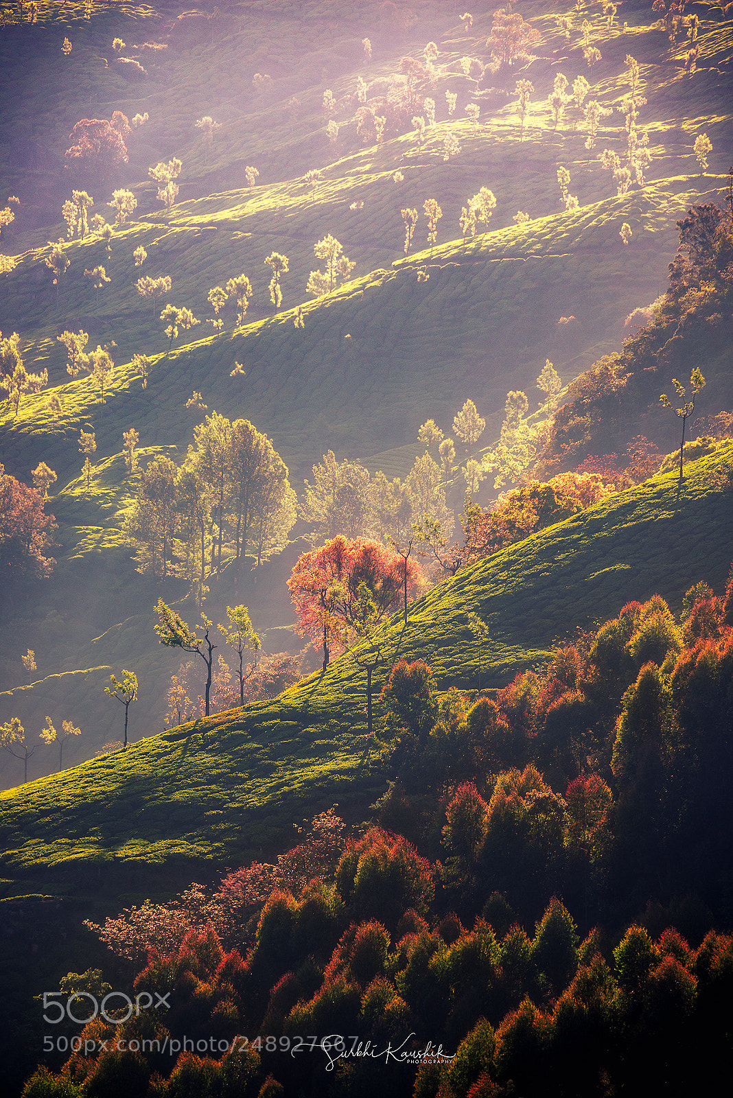 Nikon D800E sample photo. Layers within layers photography