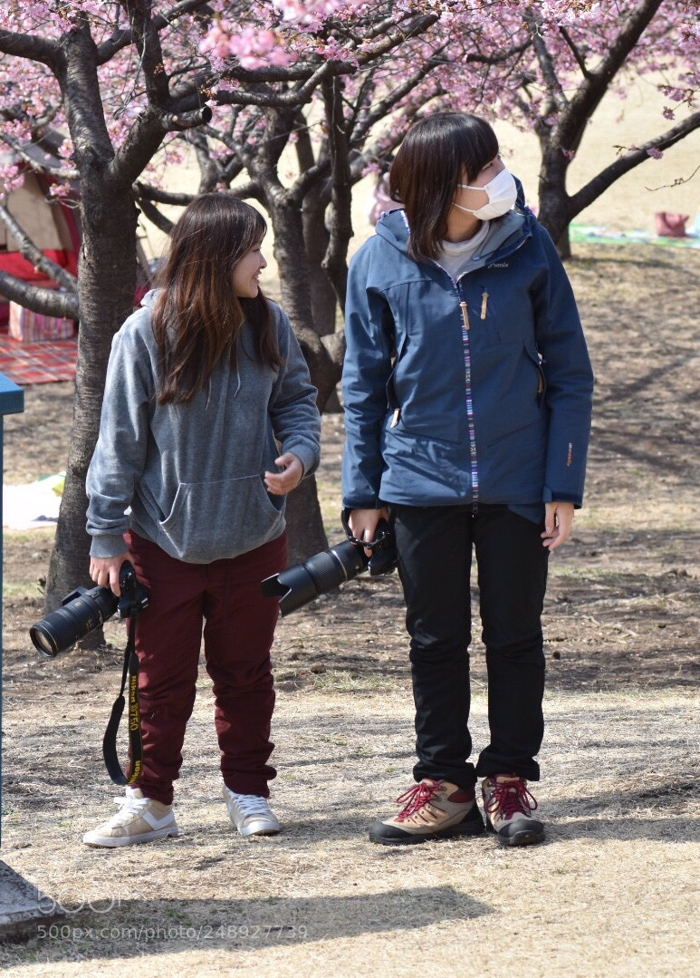 Nikon D7200 sample photo. Cherry blossom viewing party. 3 photography