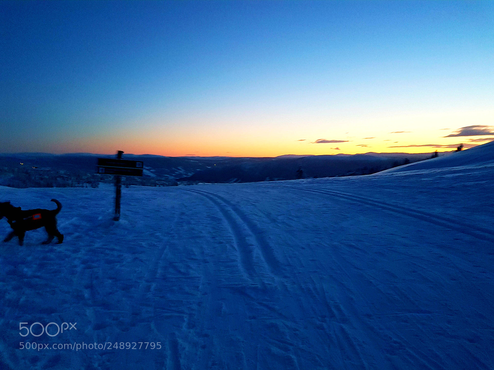 Samsung Galaxy S7 sample photo. Skiing in sunset photography