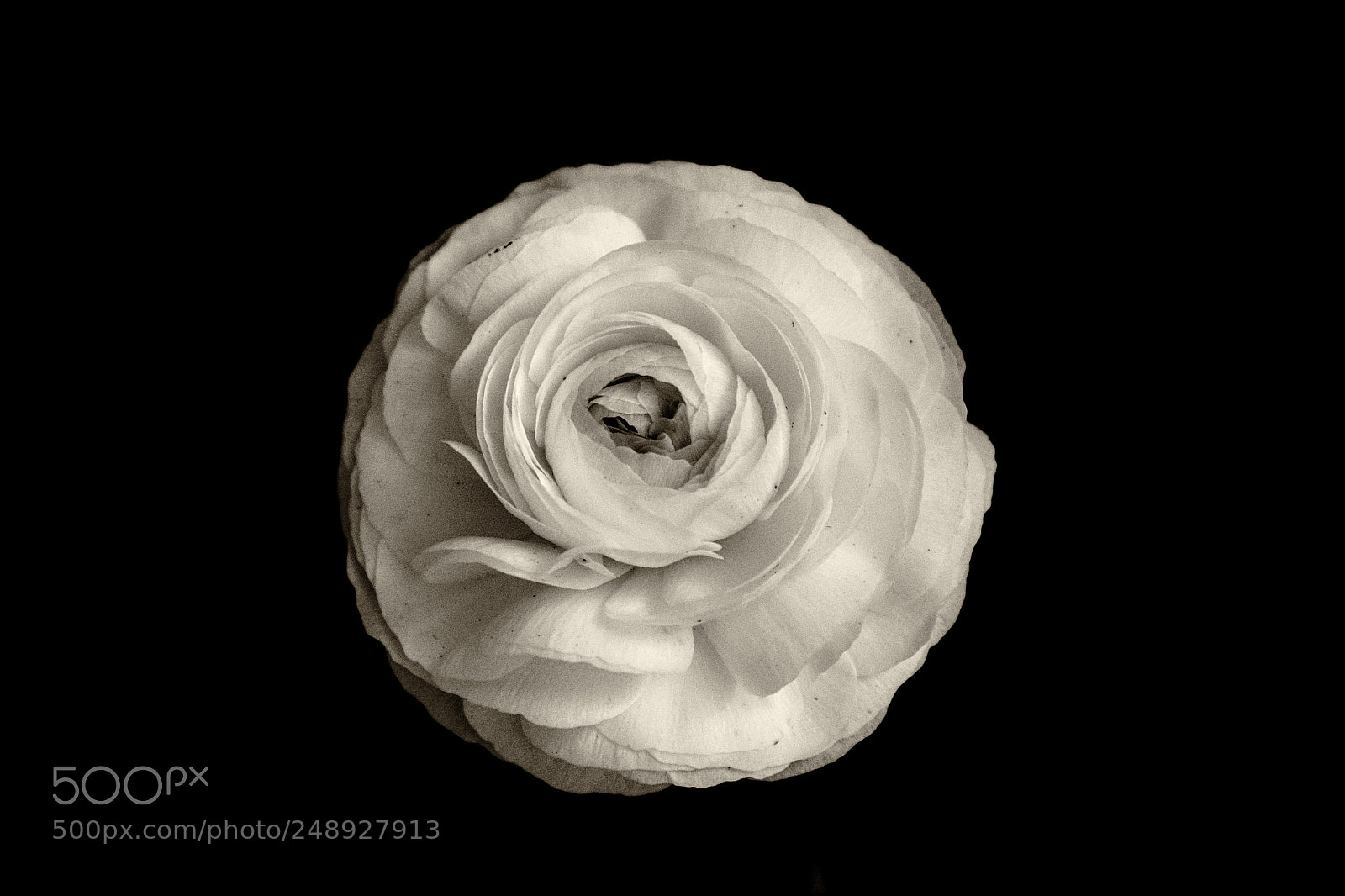 Sony SLT-A77 sample photo. Wedding dress photography