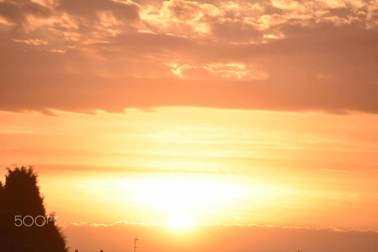 Sigma 70-300mm F4-5.6 APO DG Macro sample photo. Golden sunset photography