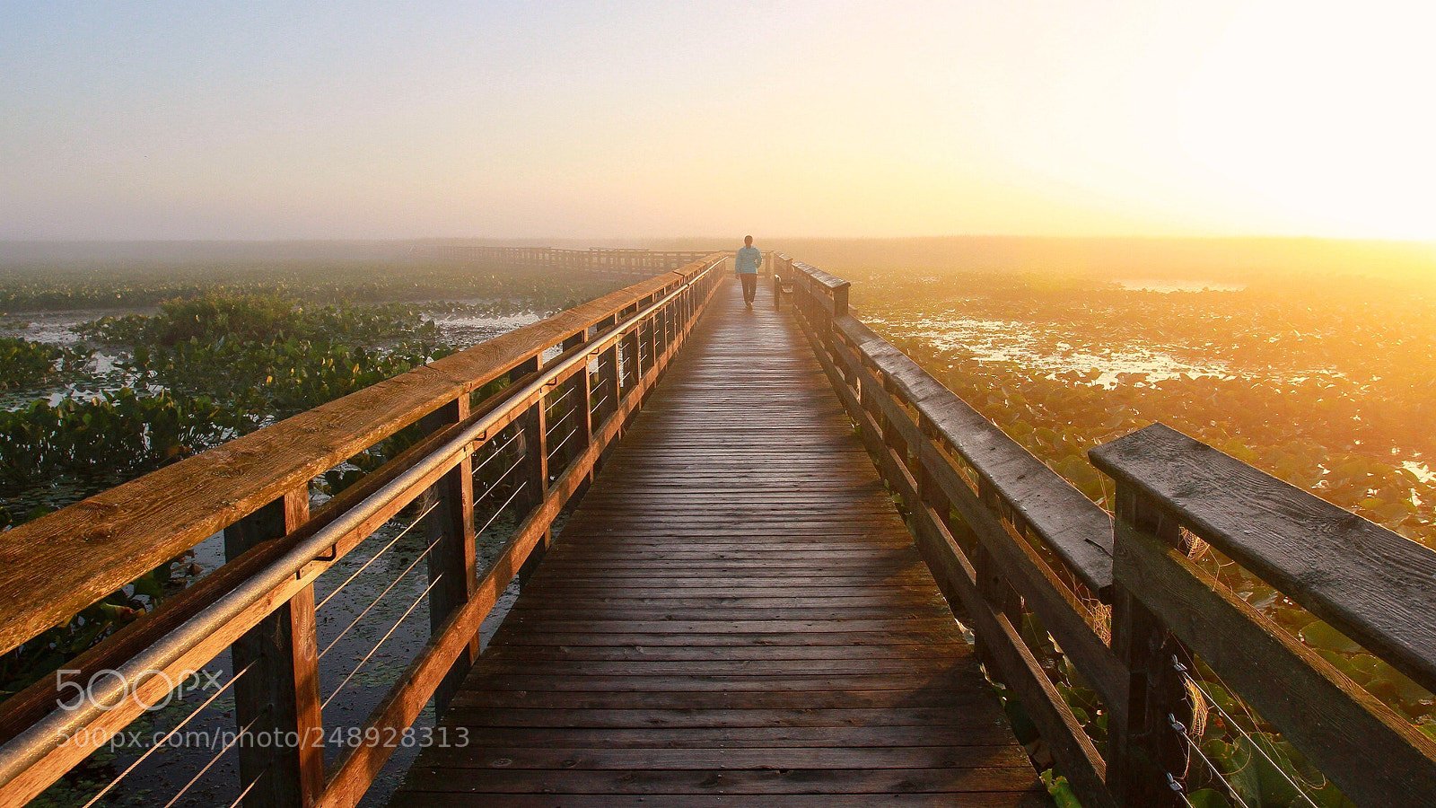 Canon EOS 7D sample photo. Sunlight in the morning photography