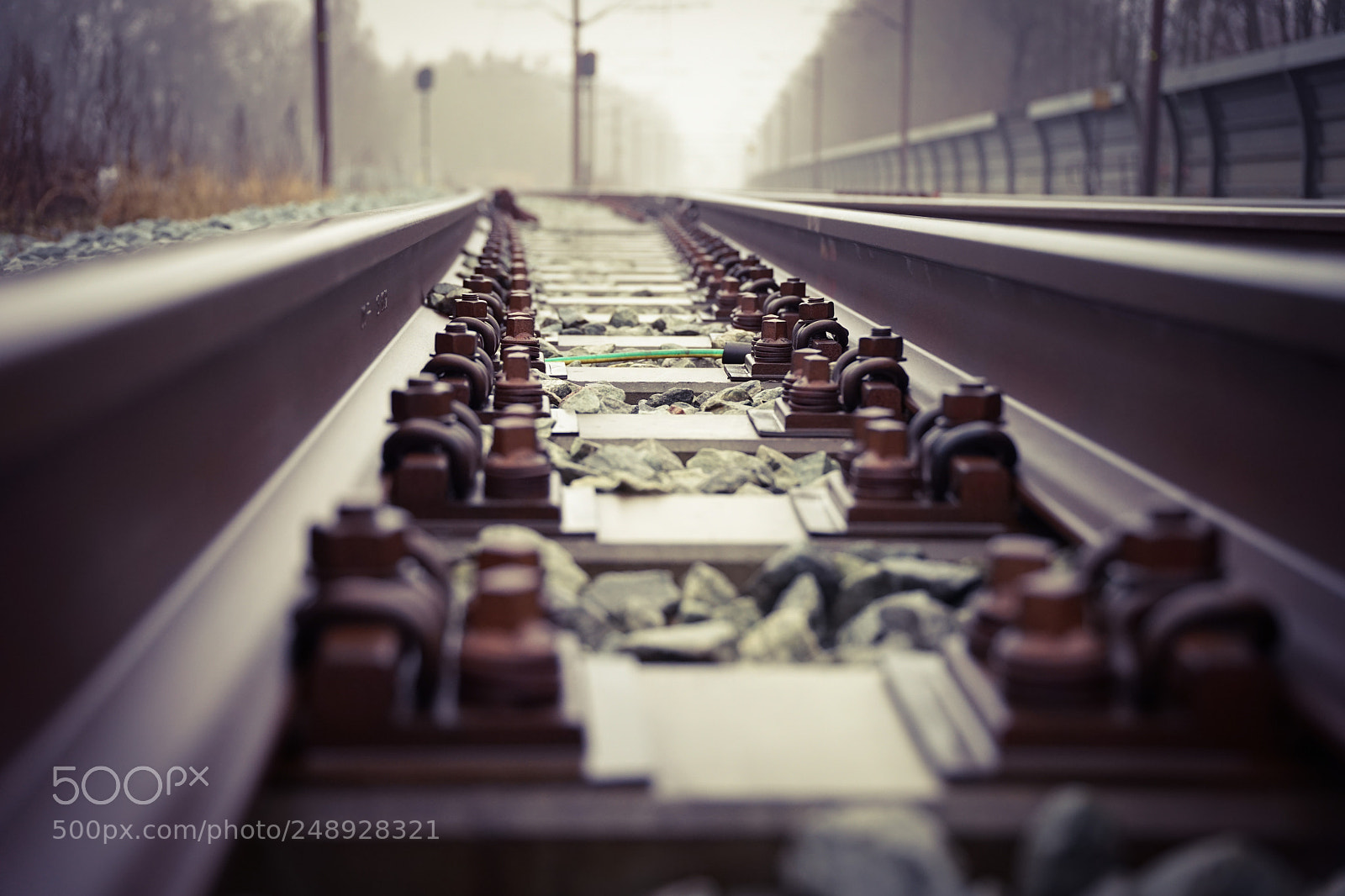 Sony a7 II sample photo. Sigma art 24-105 photography