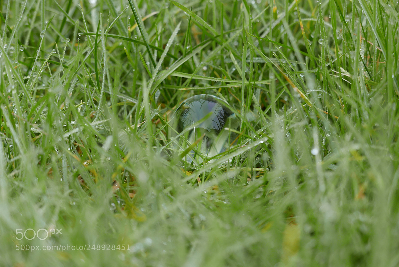Panasonic Lumix DMC-LX100 sample photo. Orb photography