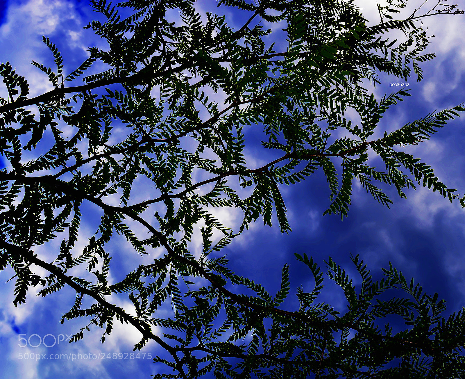 Nikon D3200 sample photo. как можно жить без него? photography