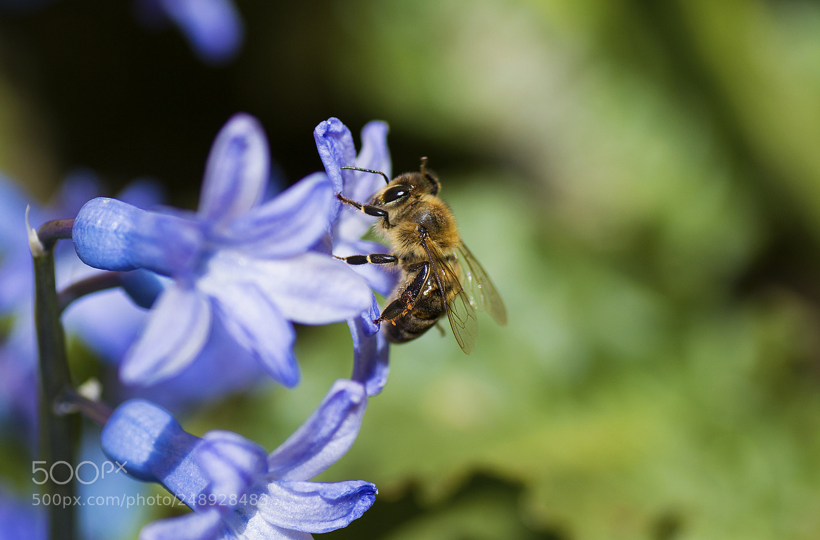 Nikon D3200 sample photo. Lunch time! photography