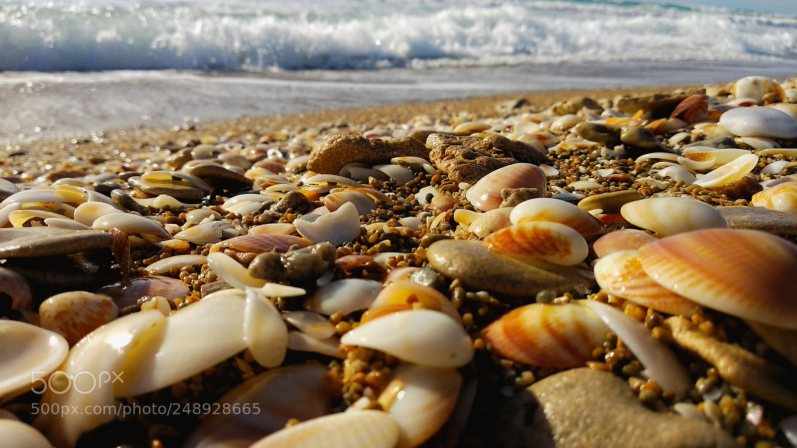 Xiaomi Mi A1 sample photo. Party of colors photography
