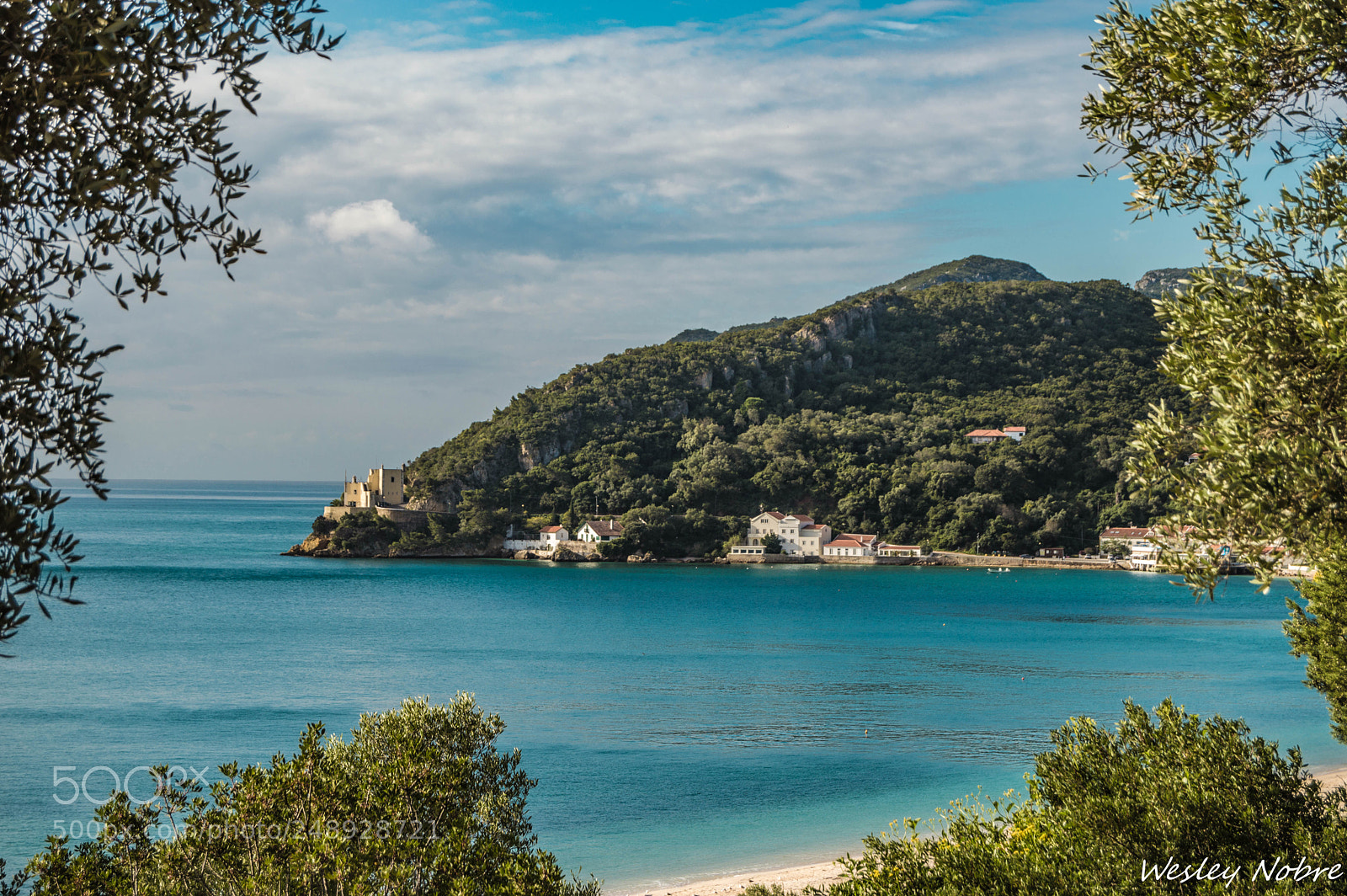 Nikon D3200 sample photo. 016-1.jpg photography